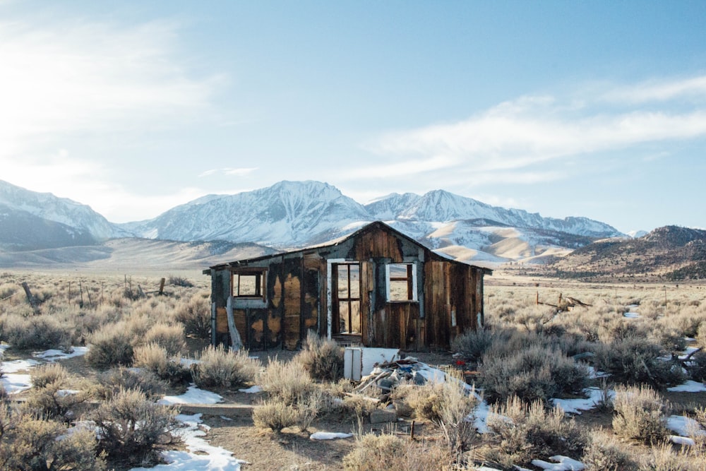 wrecked brown wooden house standing on brown grass field during daytime