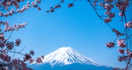 Mt. Fuji, Japan