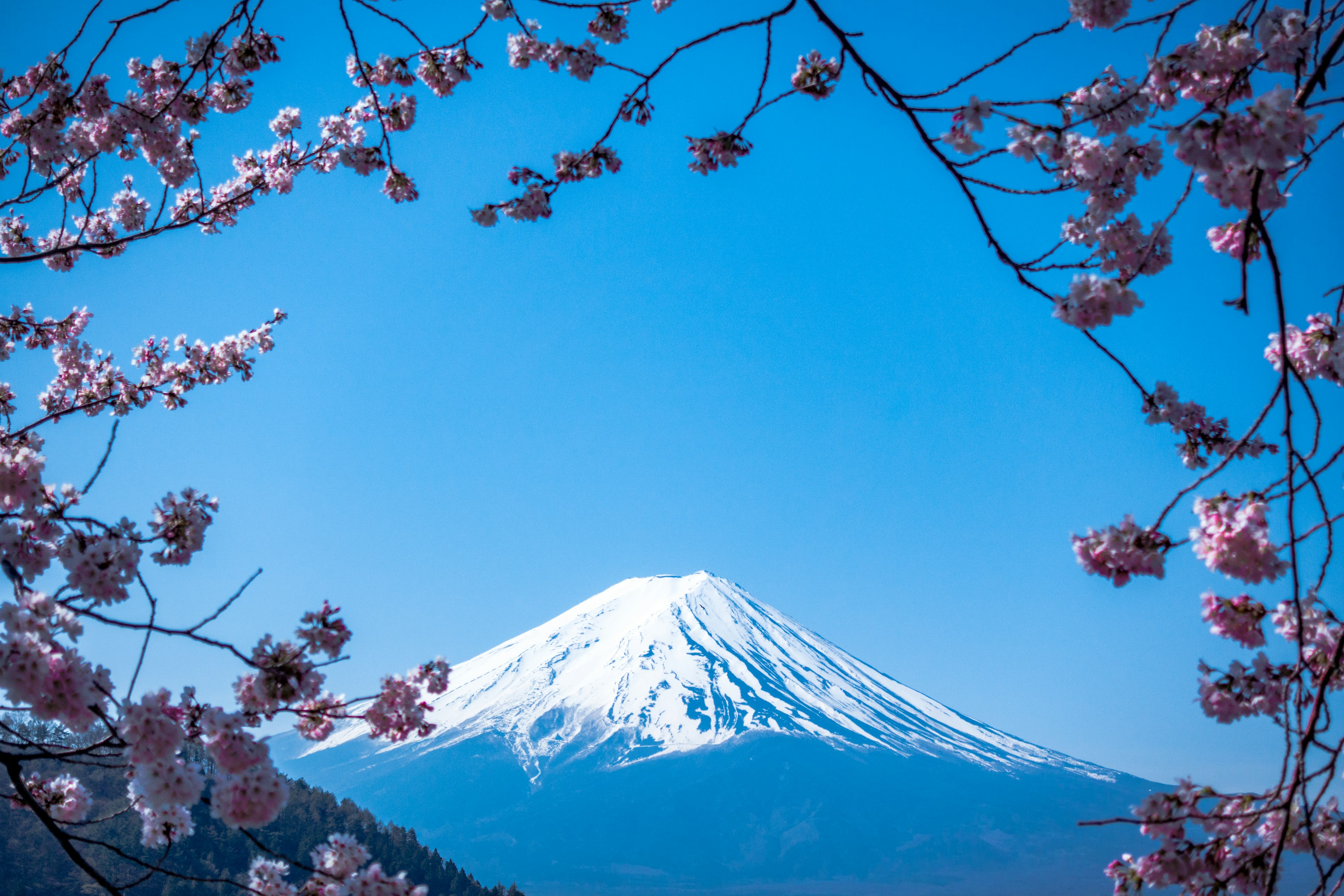 Mount Fuji viewed from Tokyo on a clear day