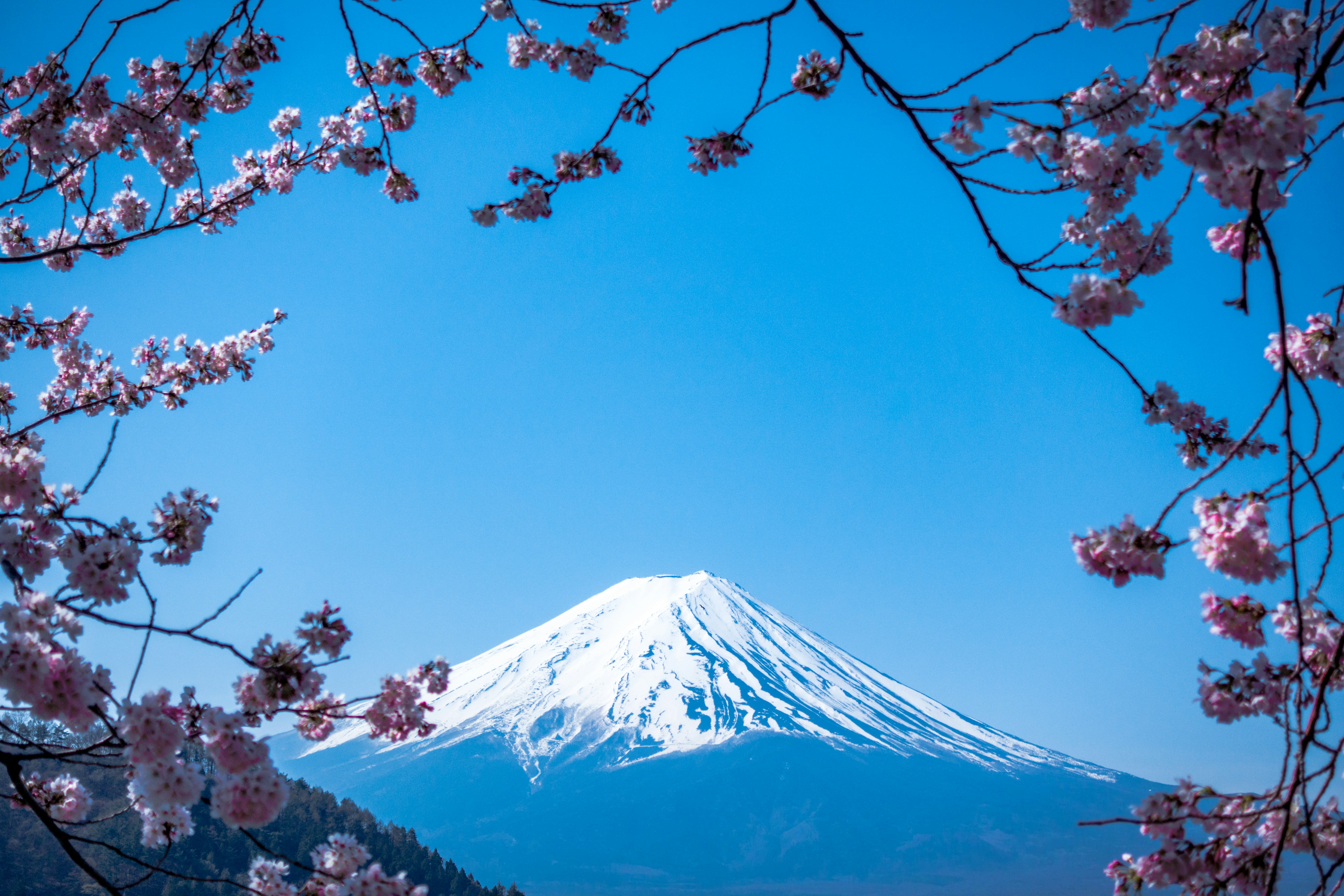 Exploring Japan: A Comprehensive Travel Guide