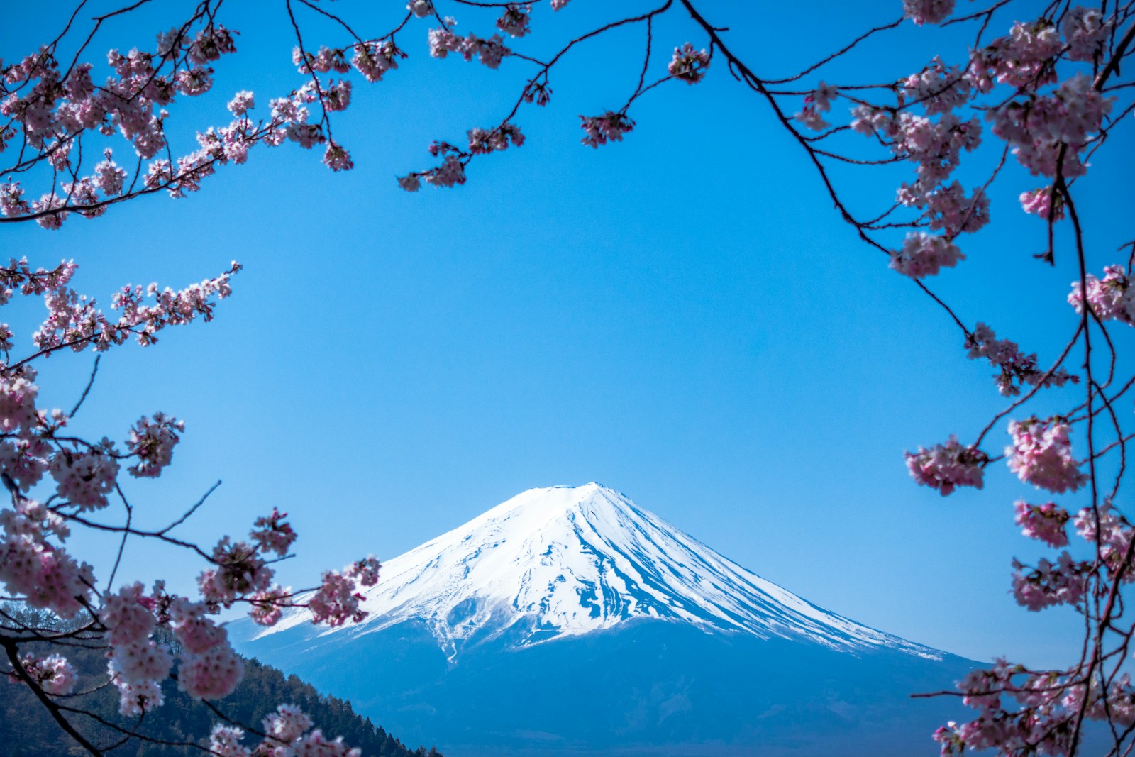 Mount Fuji Japan
