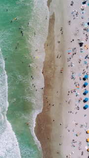 aerial photography of people on beach