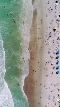 aerial photography of people on beach