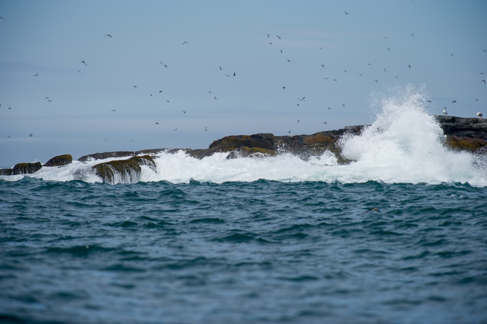 splash body of water on rock