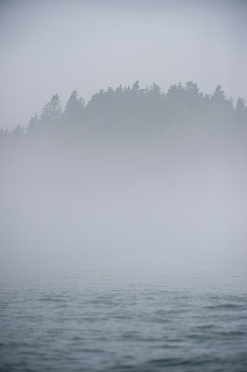 photographie de paysage de l’île