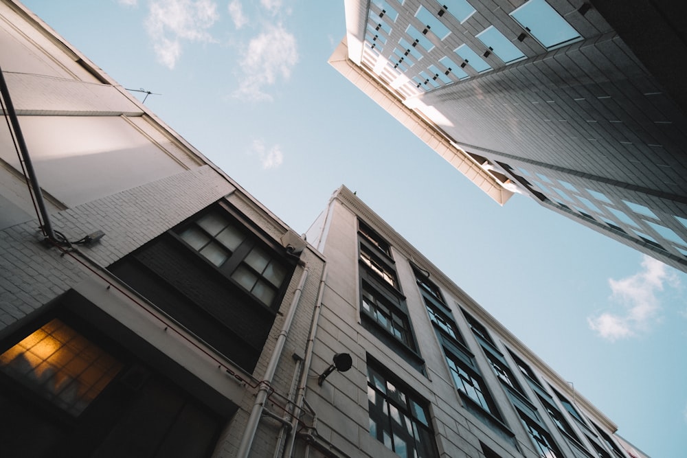 low angle photo of high rise buildings