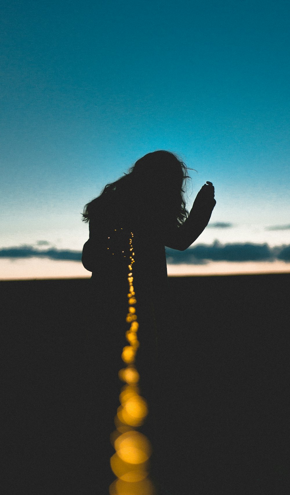 silhouette photo of person holding string lights turned on