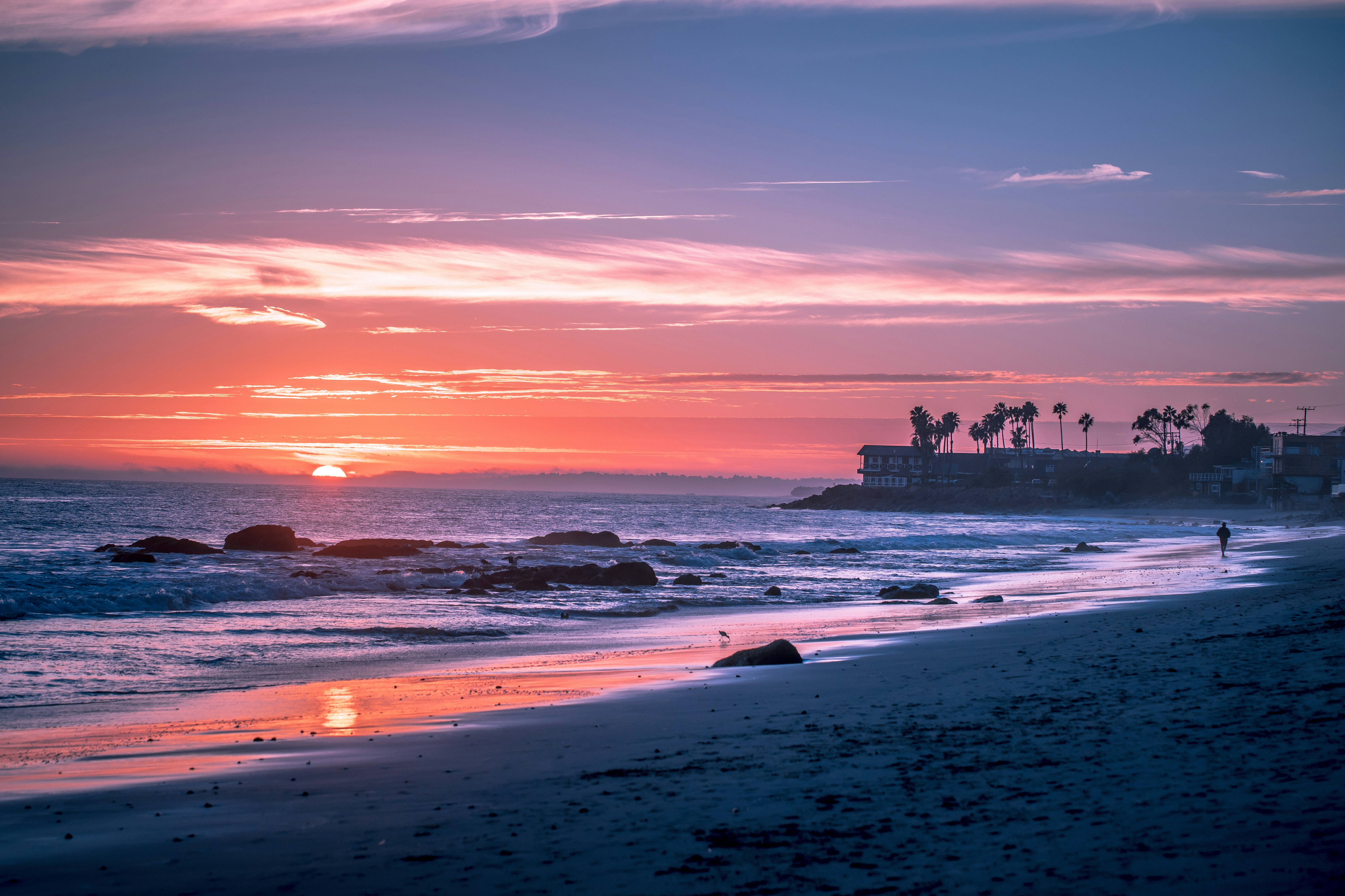 Palm trees and water.