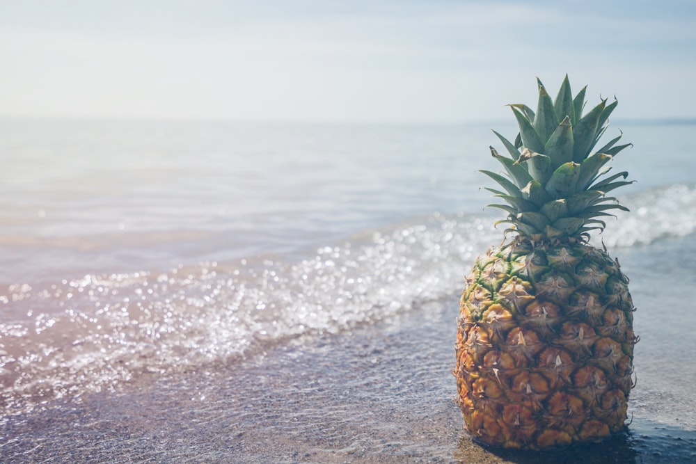 Fruit d’ananas sur la photographie de bord de mer