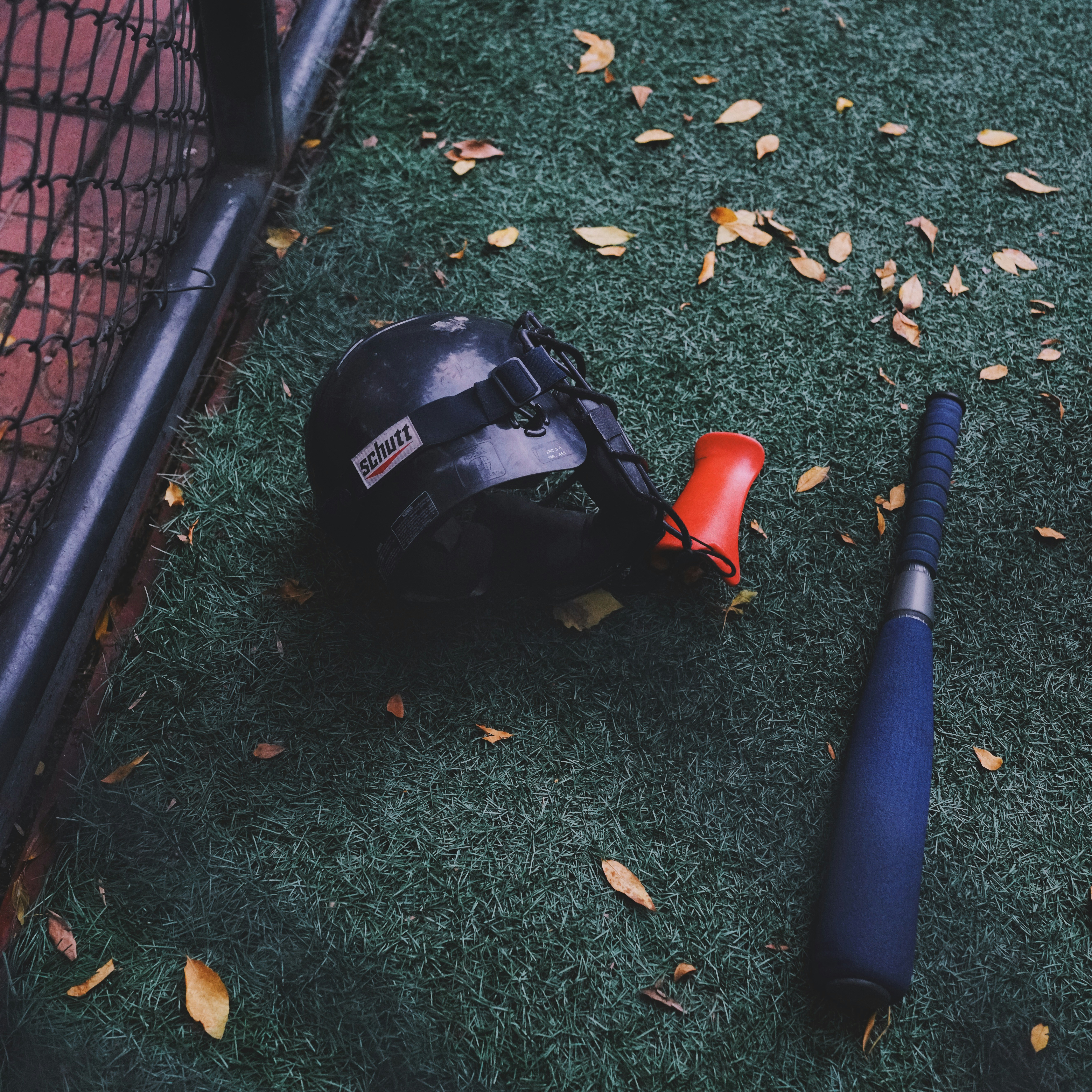 Free Unsplash photo from C MA