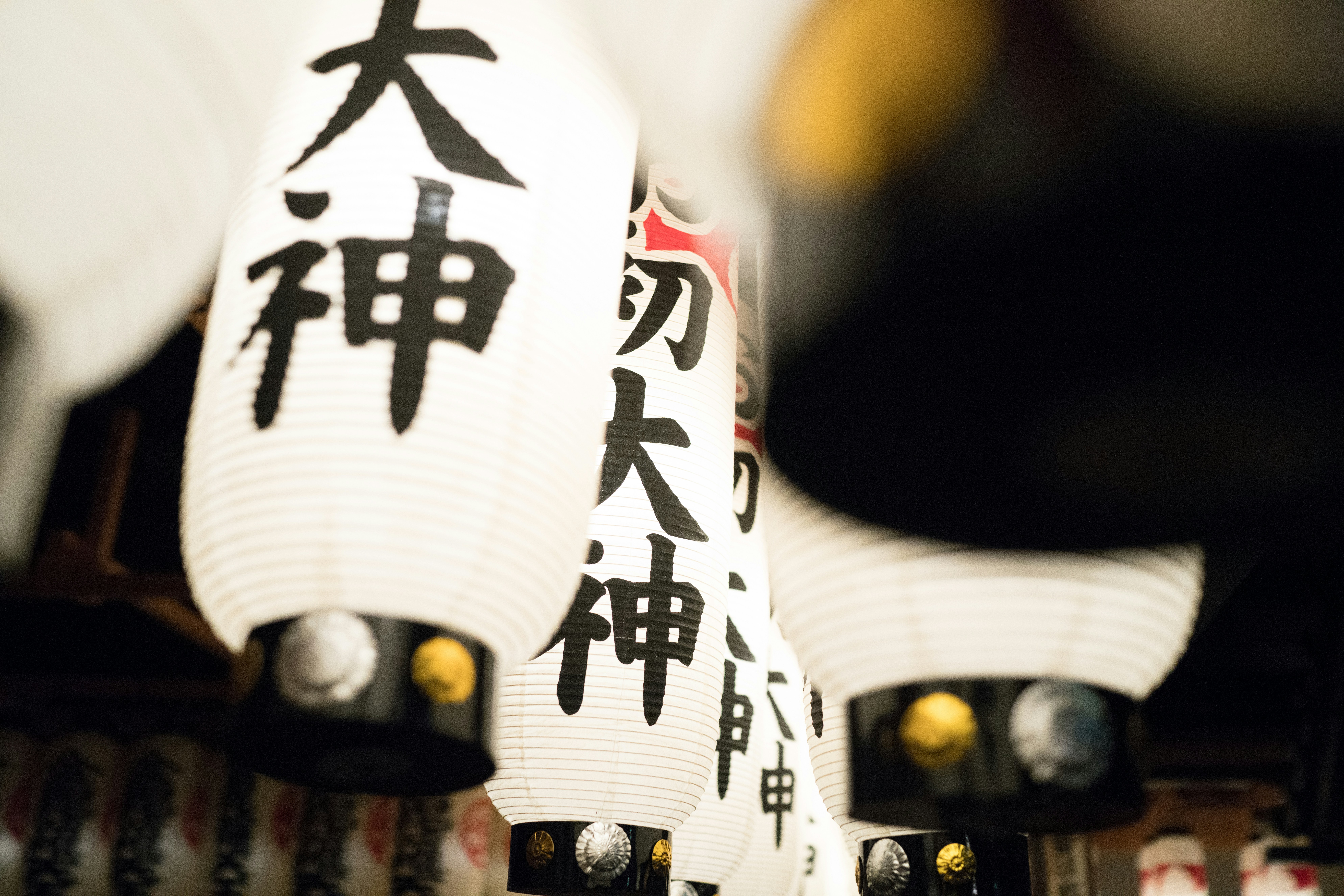 Free Unsplash photo from C MA