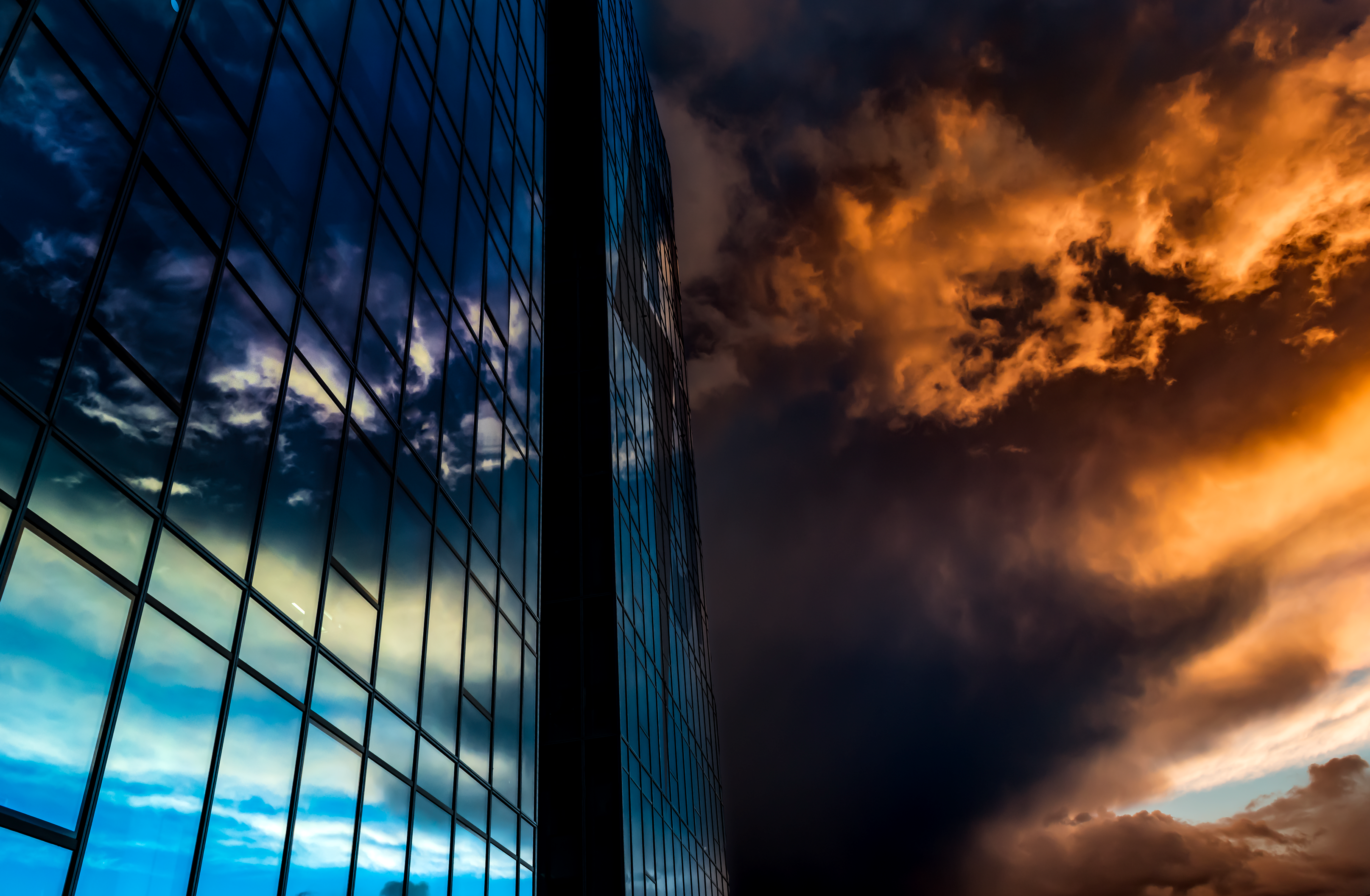 Free Unsplash photo from Borislav Dimitrov