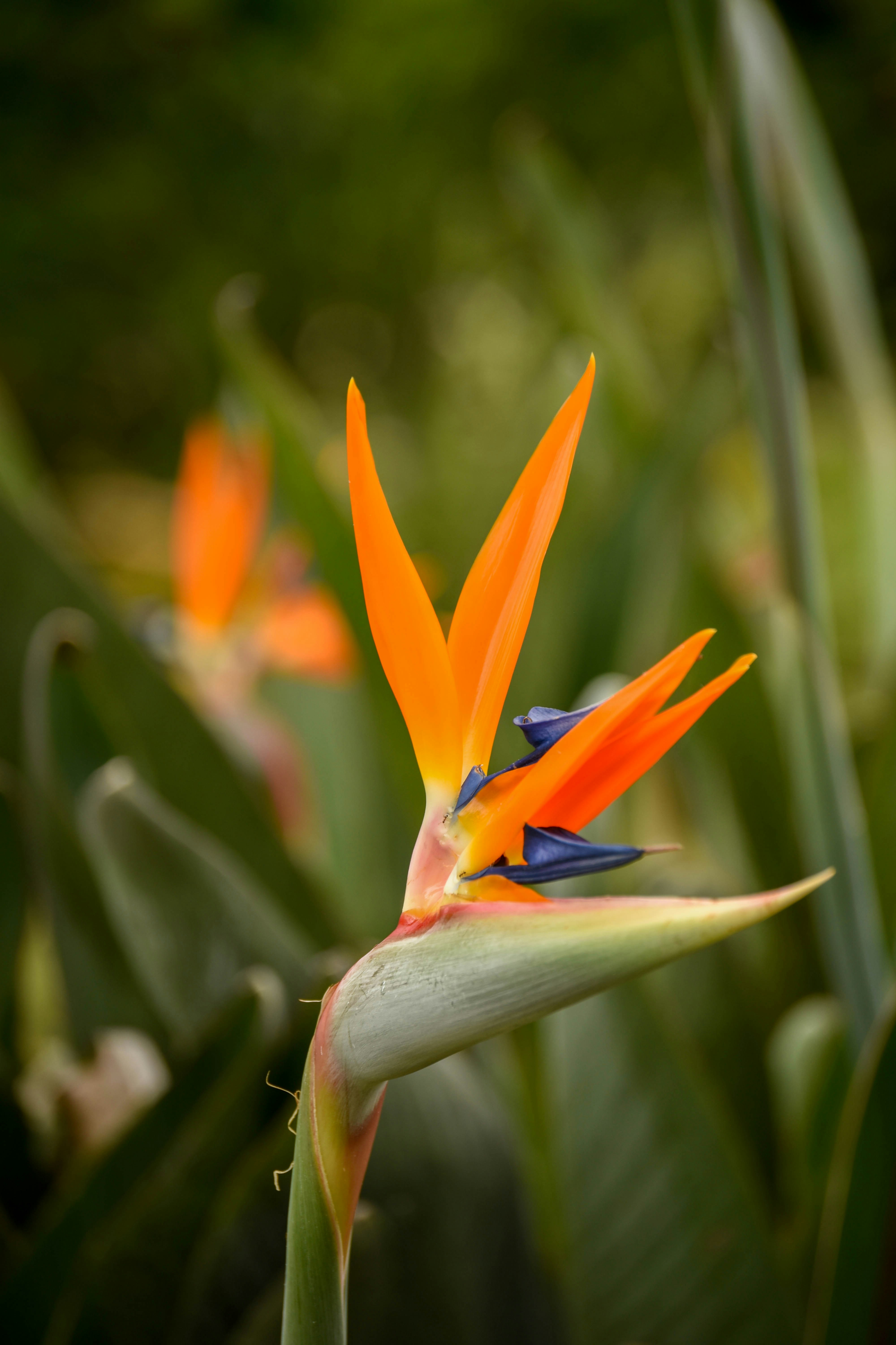 Free Unsplash photo from Dorota Socha