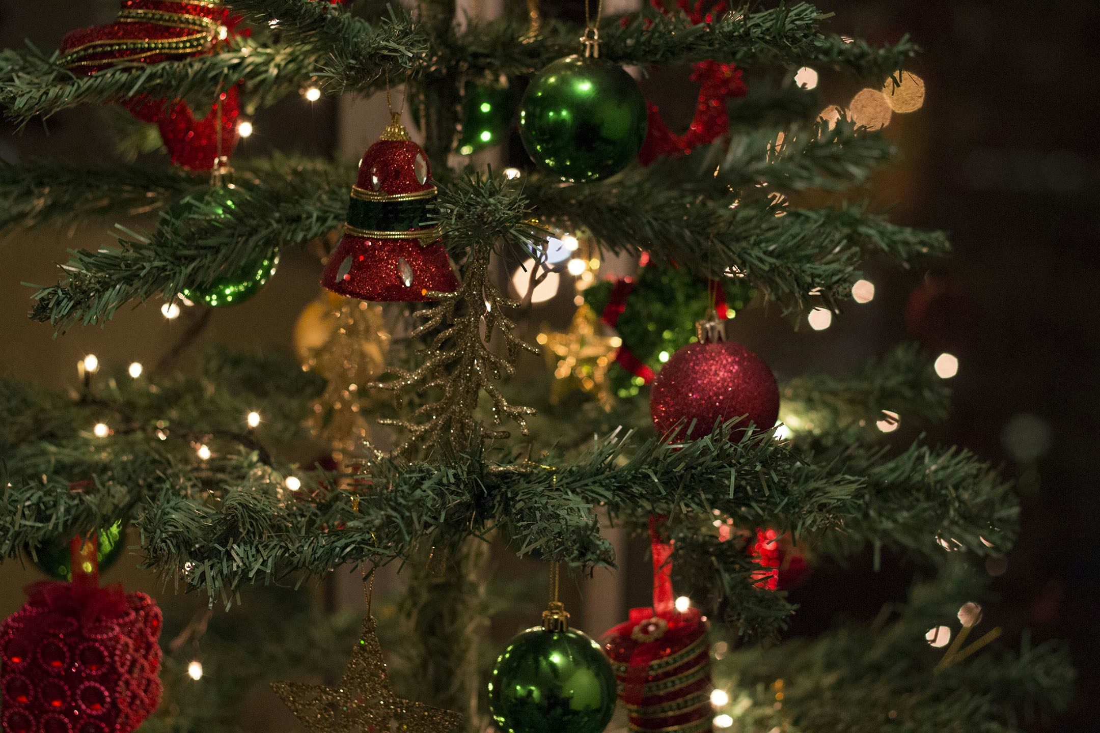 Free Unsplash photo from Jevon Bhagaloo