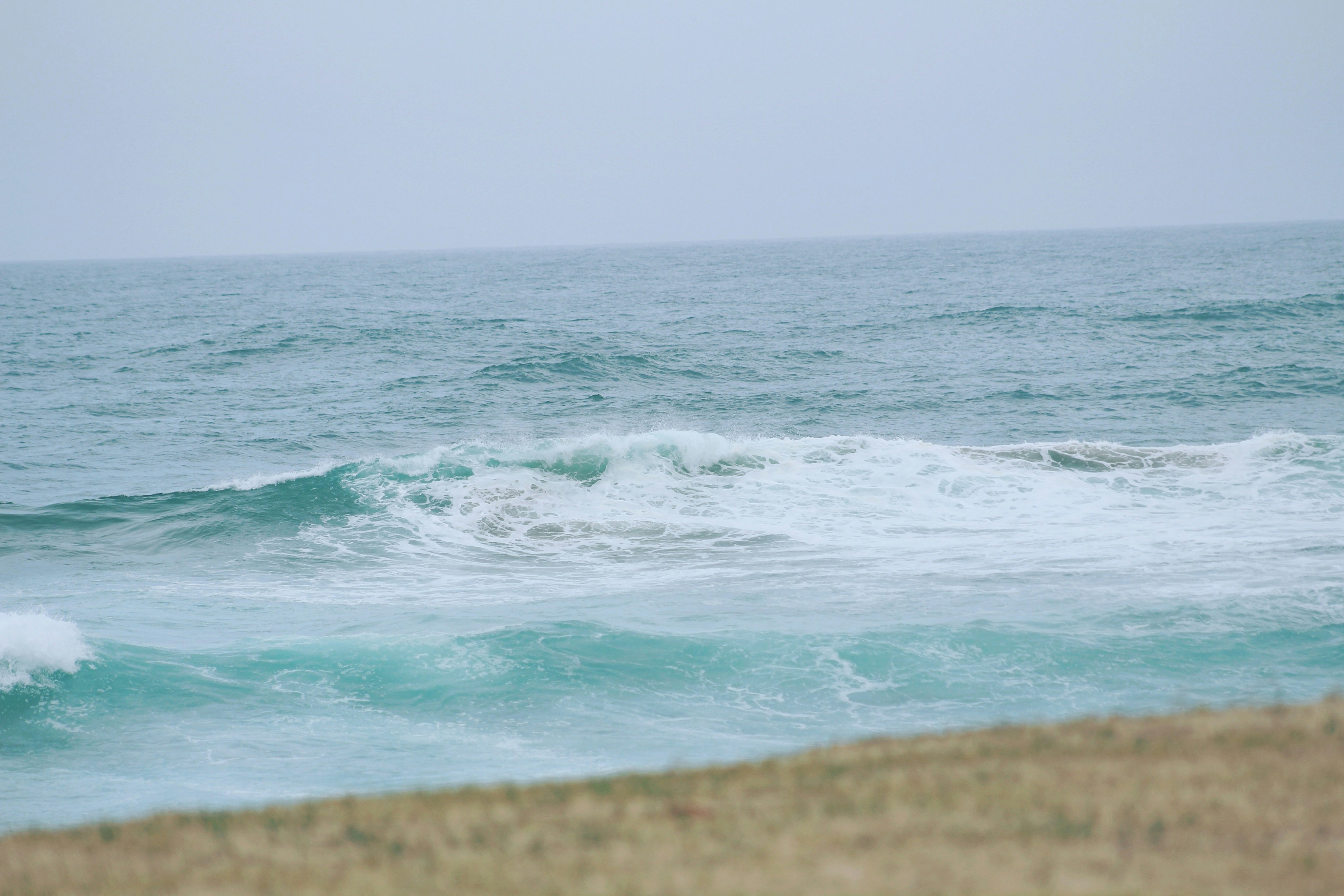 Free Unsplash photo from Jevon Bhagaloo