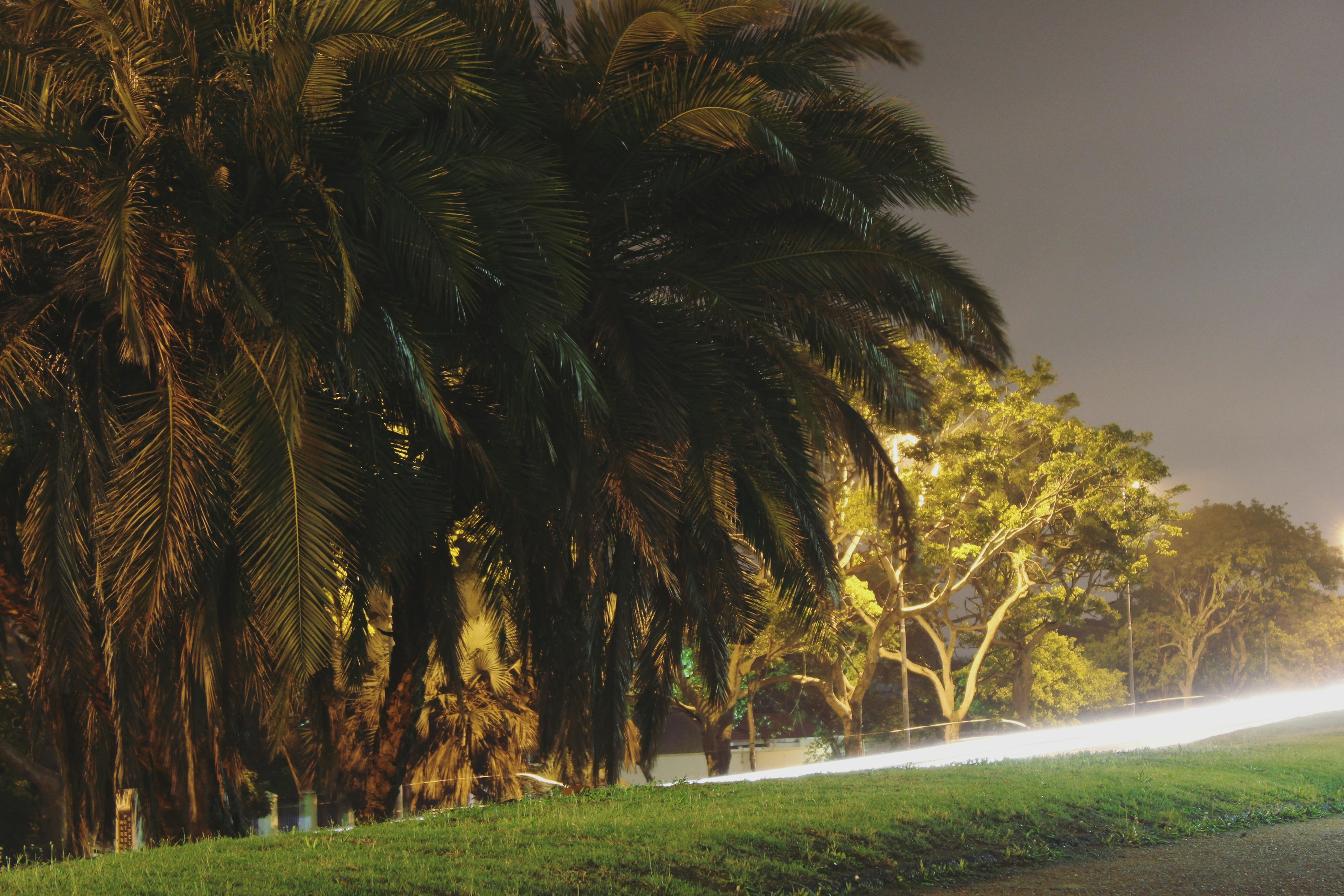 Free Unsplash photo from Jevon Bhagaloo