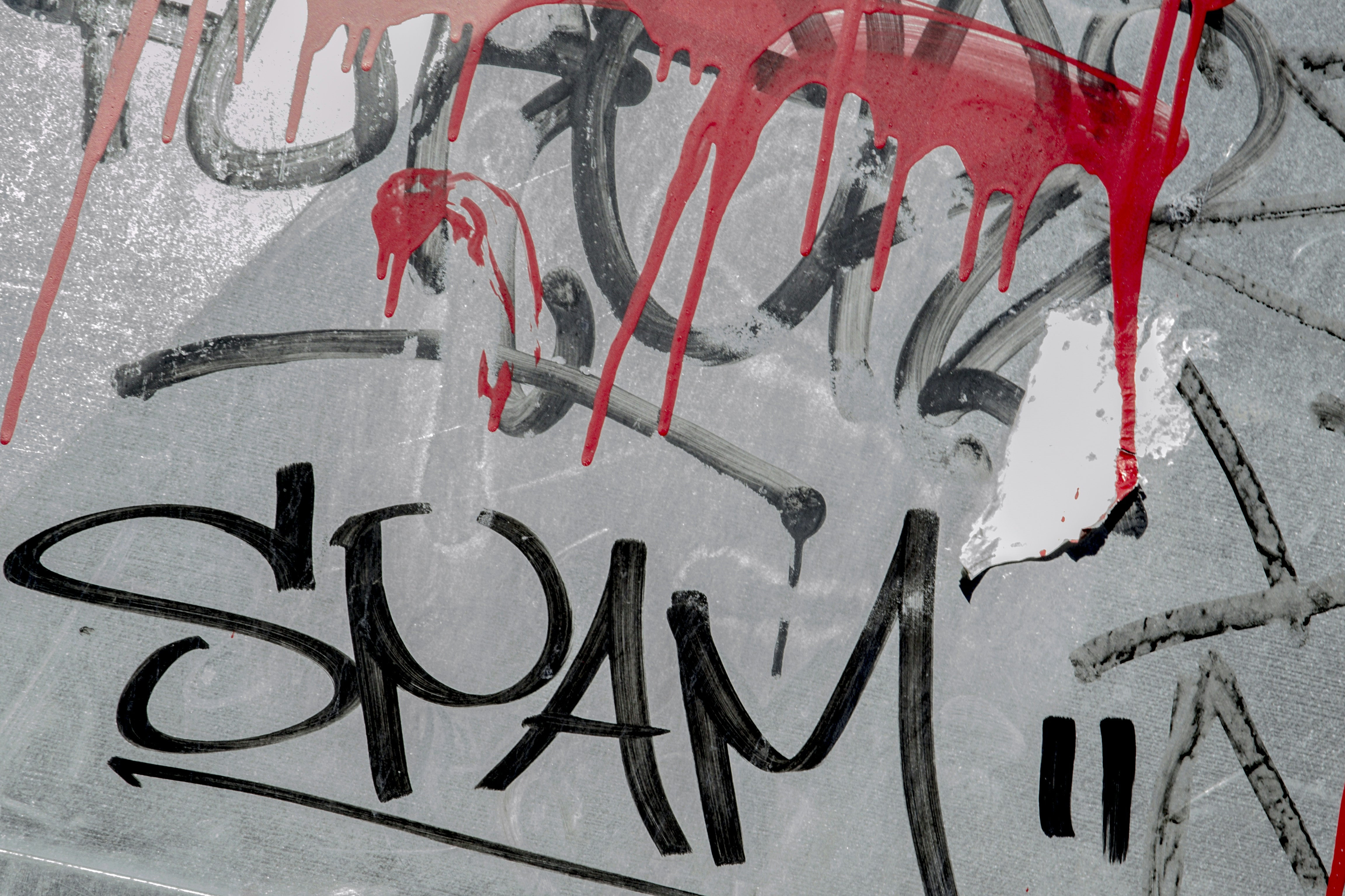 Free Unsplash photo from Ryan Oswick