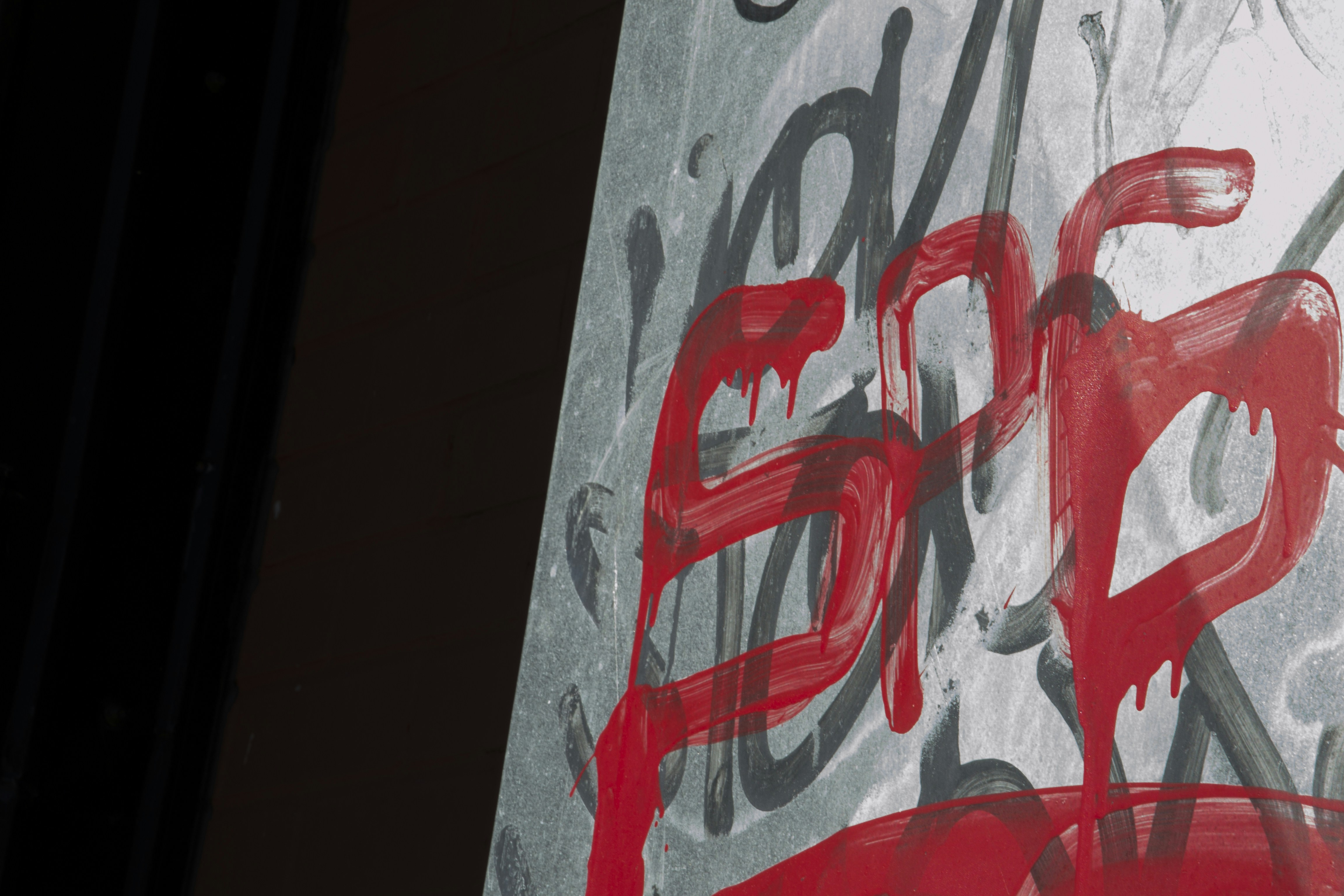 Free Unsplash photo from Ryan Oswick