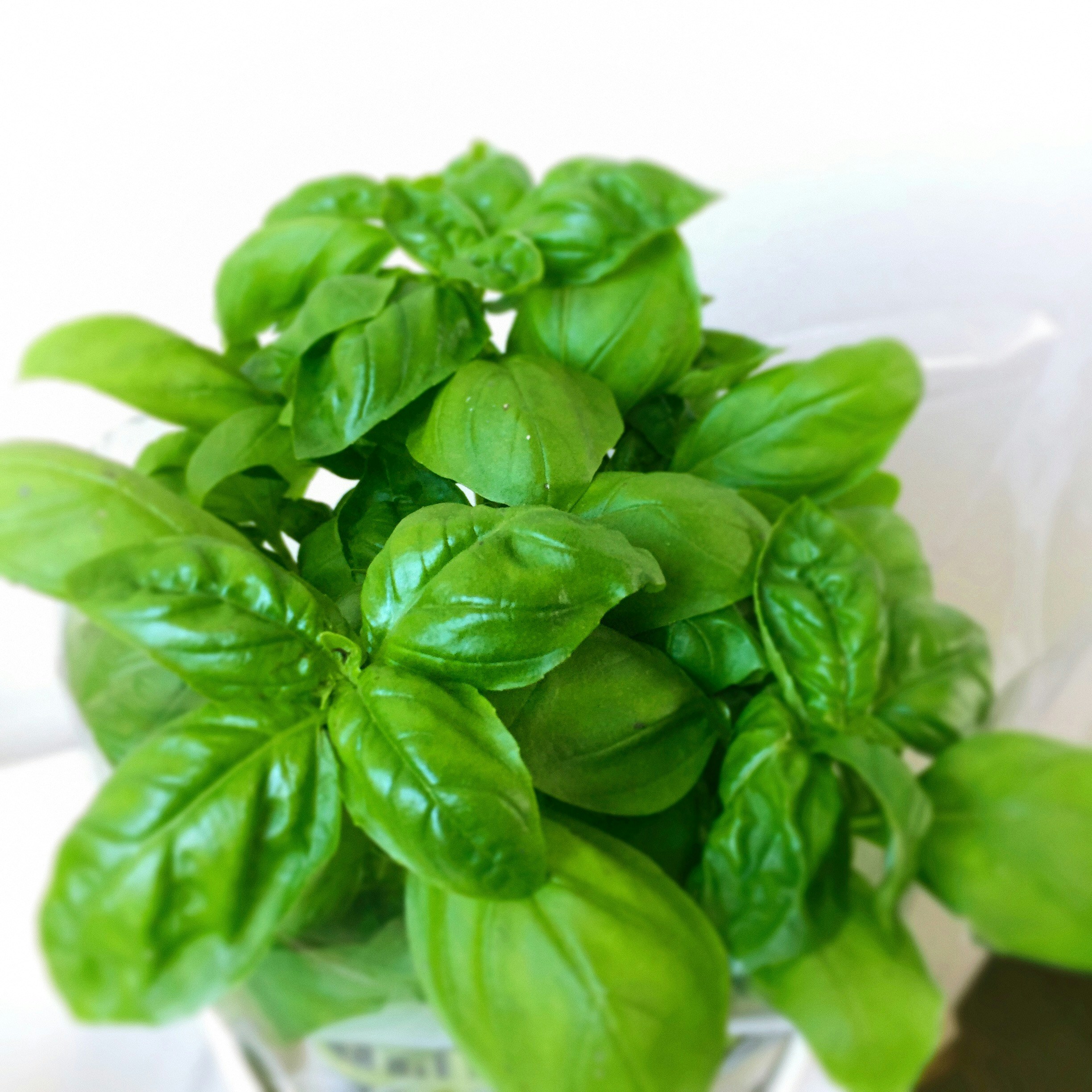 Free Unsplash photo from Christian Klose