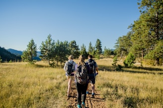 A group of three people are hiking along a trail surrounded by lush green trees and grass under a clear blue sky. Each person is carrying a backpack, and they are walking on a dirt path. The environment suggests a peaceful, natural setting with trees and distant mountains in the background.
