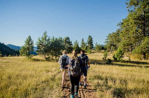 A group of three people are hiking along a trail surrounded by lush green trees and grass under a clear blue sky. Each person is carrying a backpack, and they are walking on a dirt path. The environment suggests a peaceful, natural setting with trees and distant mountains in the background.