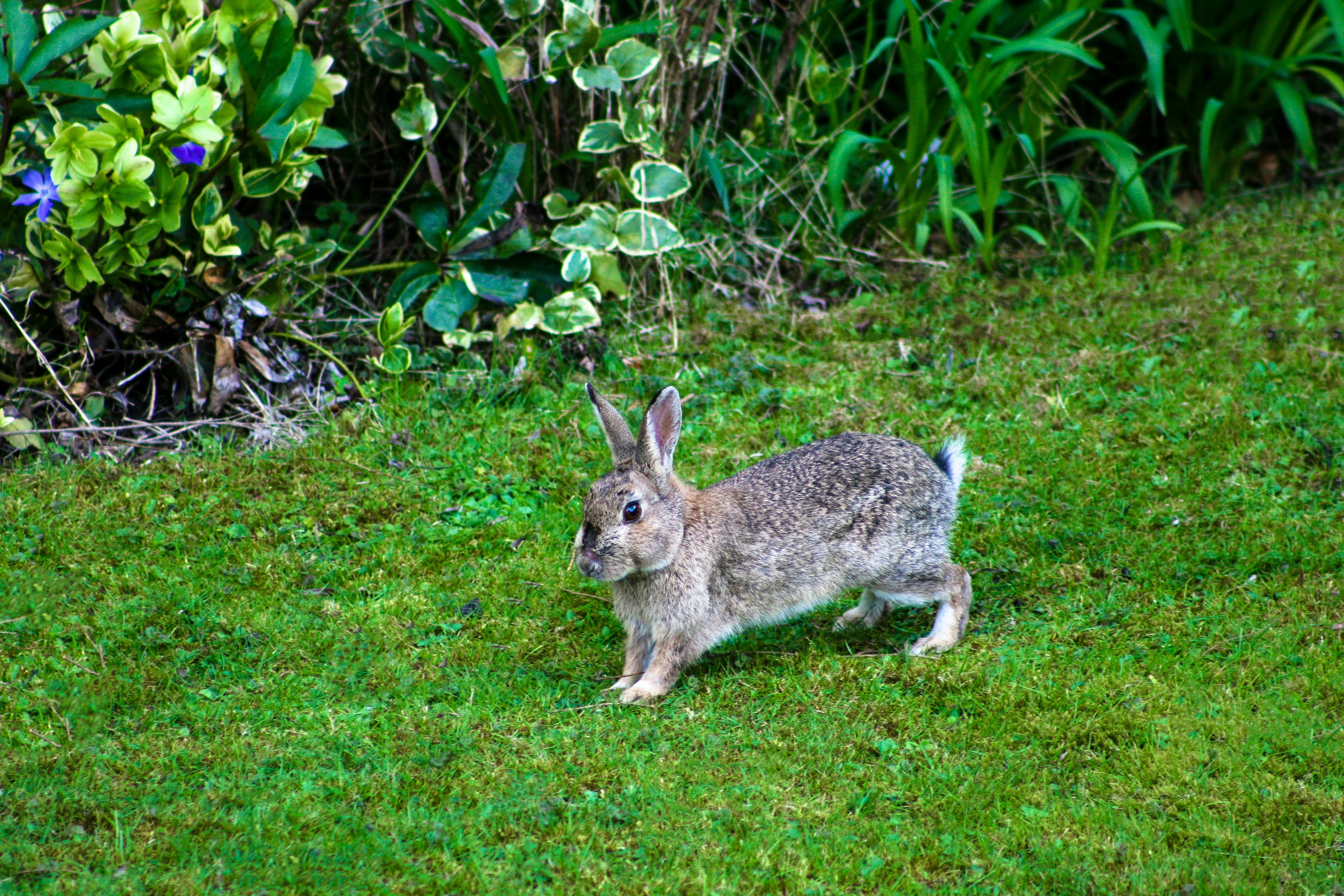 Free Unsplash photo from Greg Daines