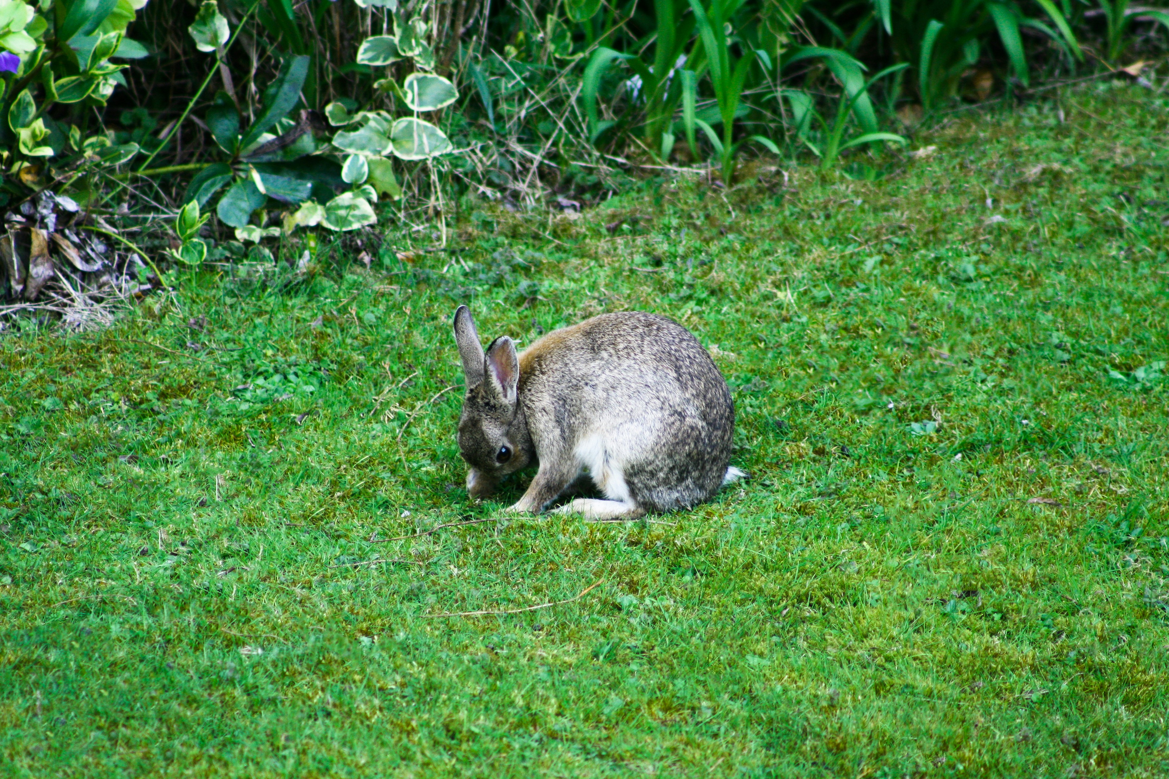 Free Unsplash photo from Greg Daines