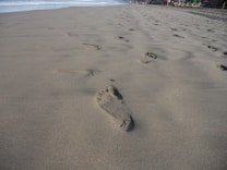 A serene beach scene featuring a series of footprints leading away towards the horizon, over smooth, wet sand. The ocean is visible on the left, with gentle waves approaching the shore. In the distance, there are indistinct figures and beach furniture.