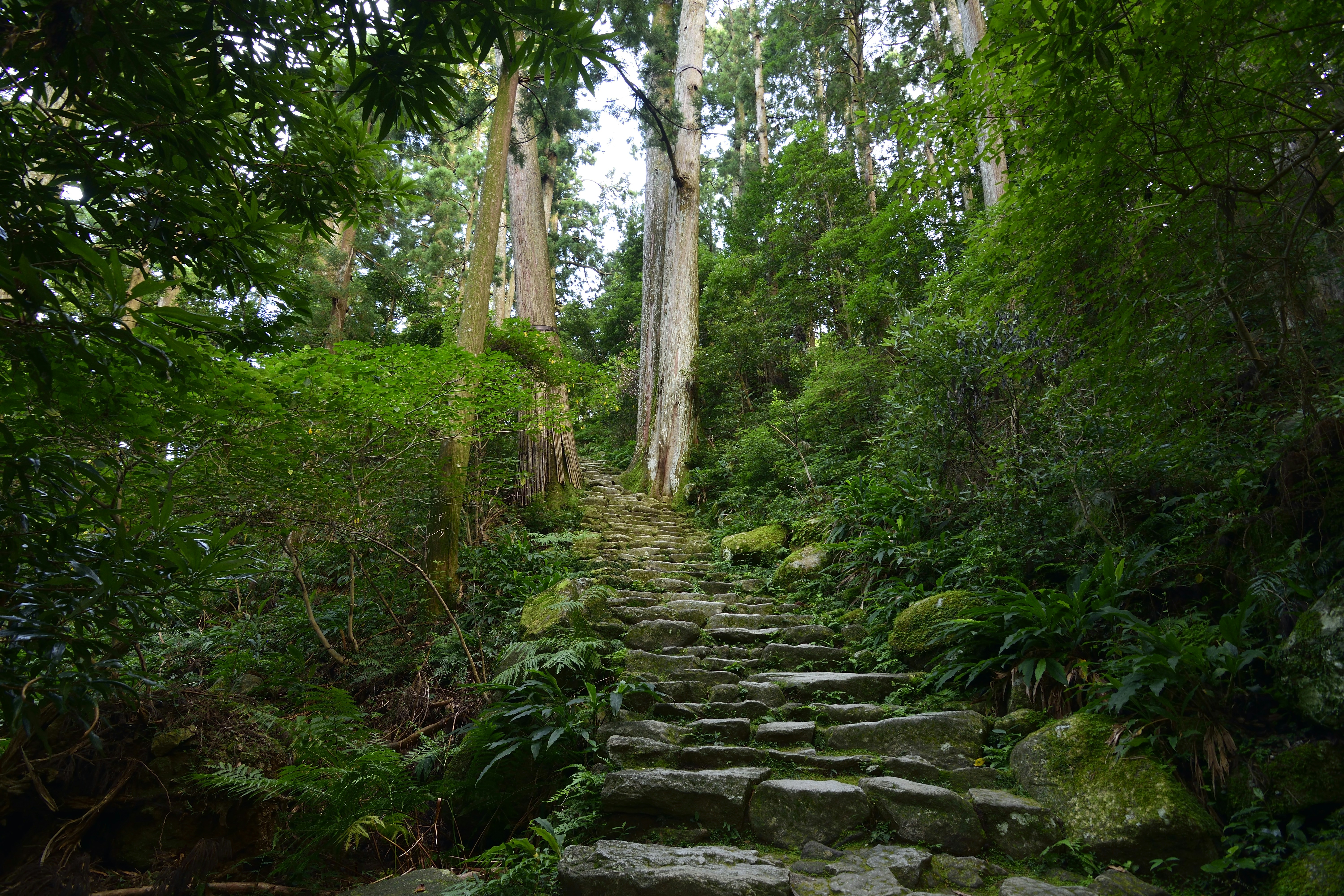 Free Unsplash photo from Anabel F. Zamora