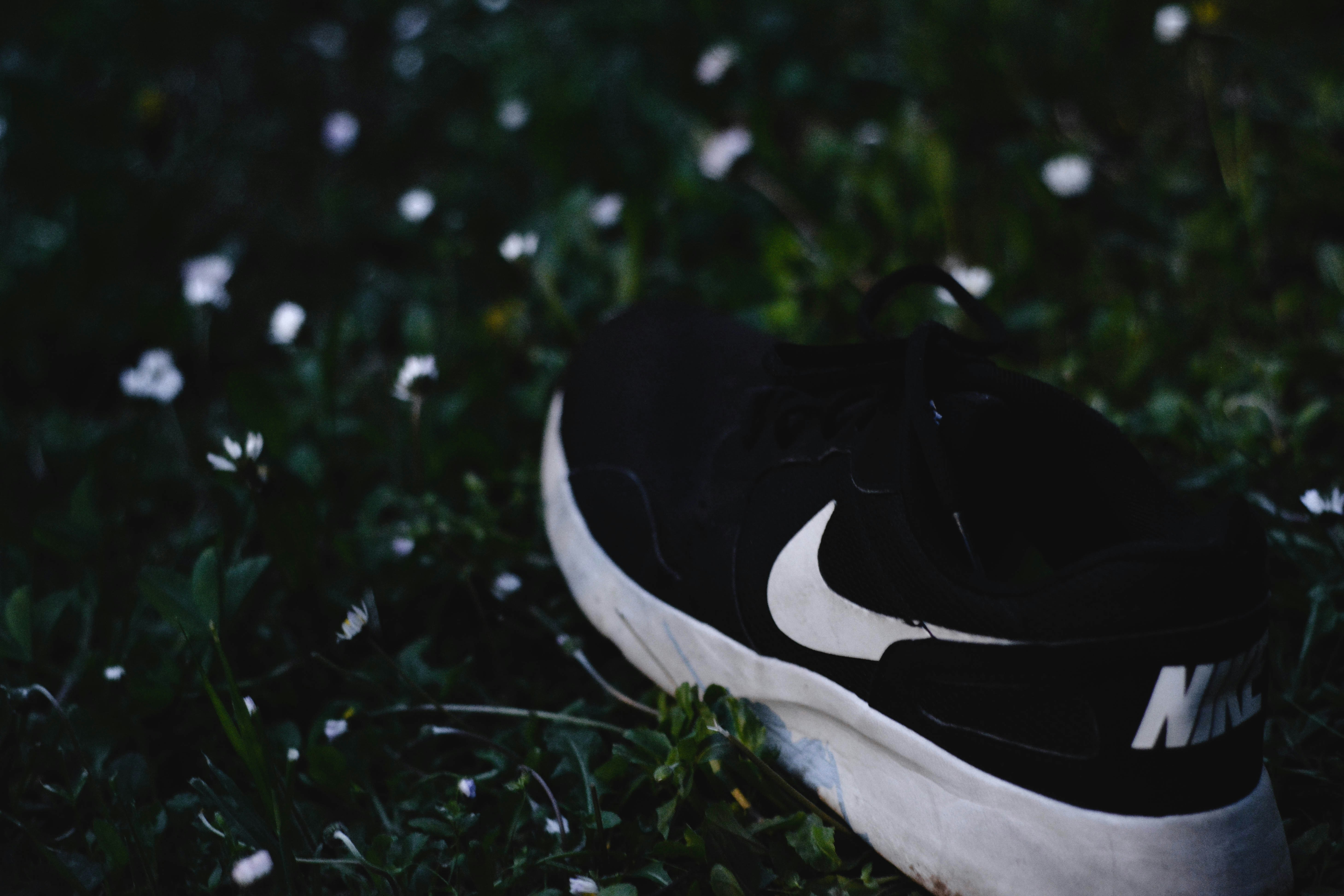 Free Unsplash photo from Simone Acquaroli