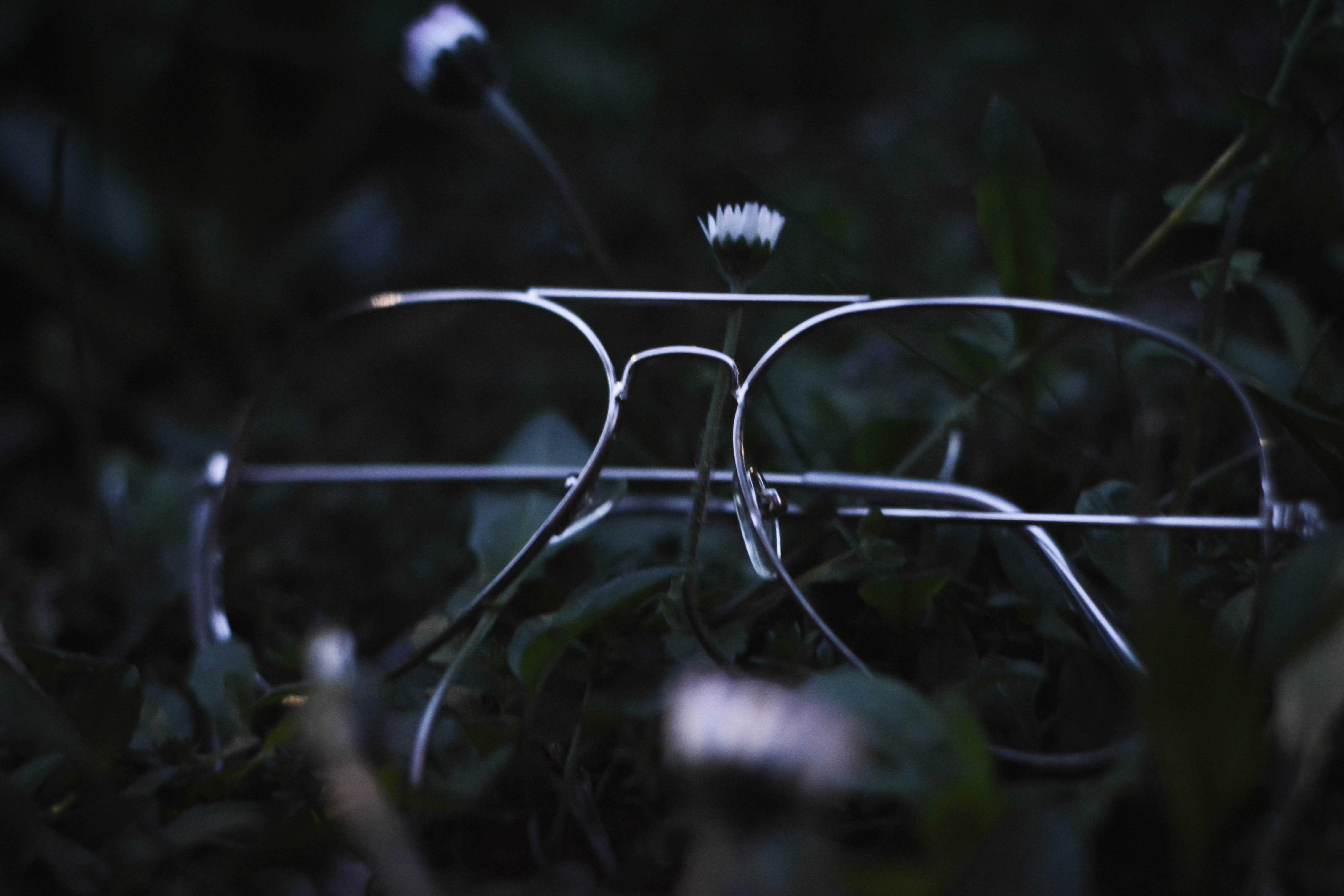 Free Unsplash photo from Simone Acquaroli