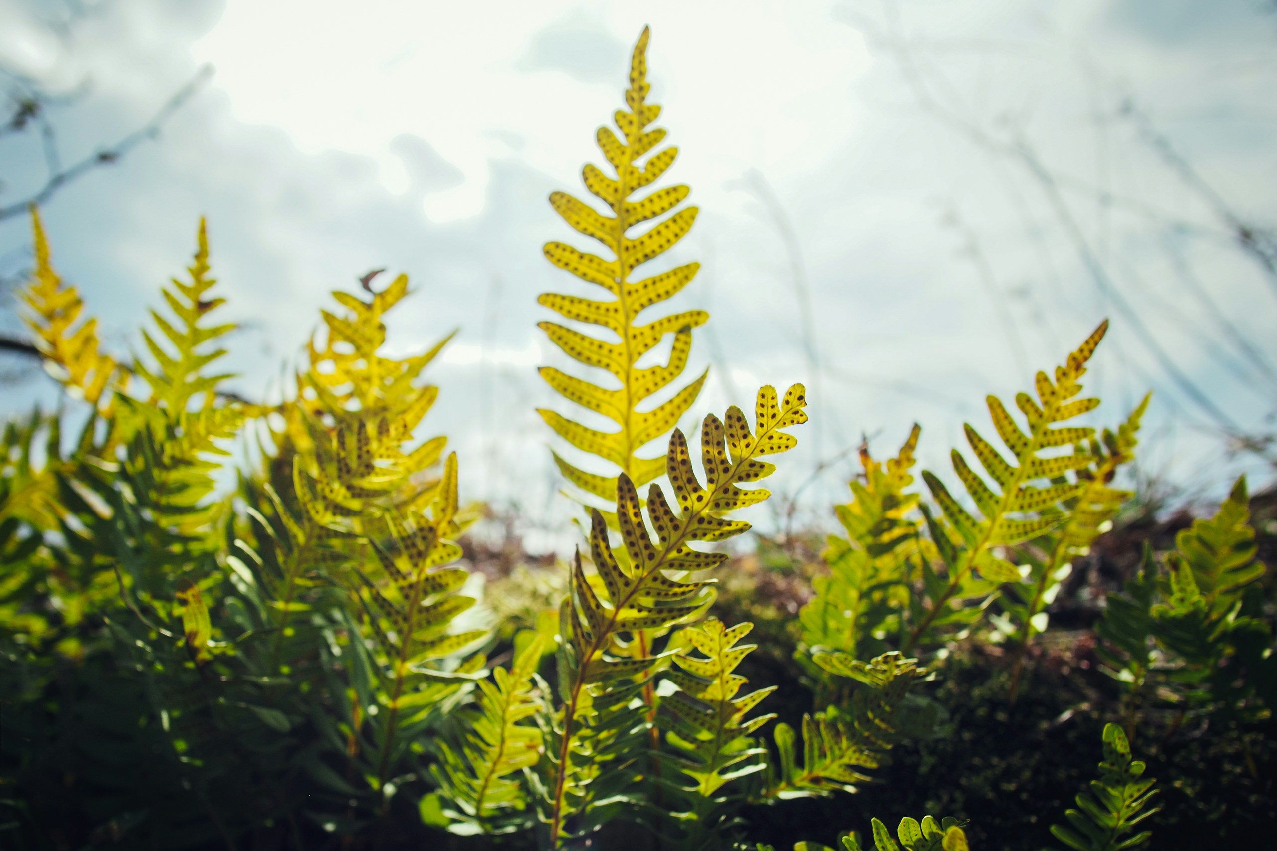 Free Unsplash photo from Ivan Vranić