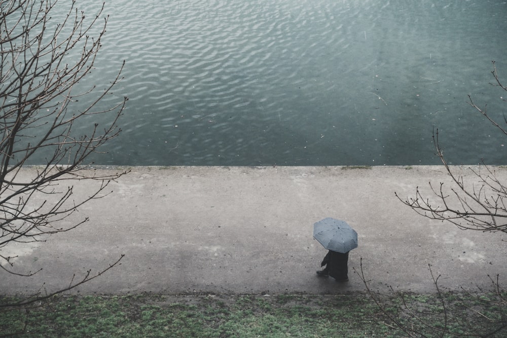 person with umbrella walking on road near body of water during daytime