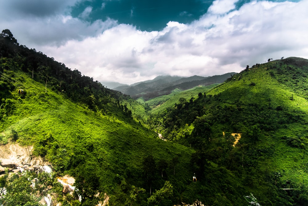 forest and grass covered mountains during day