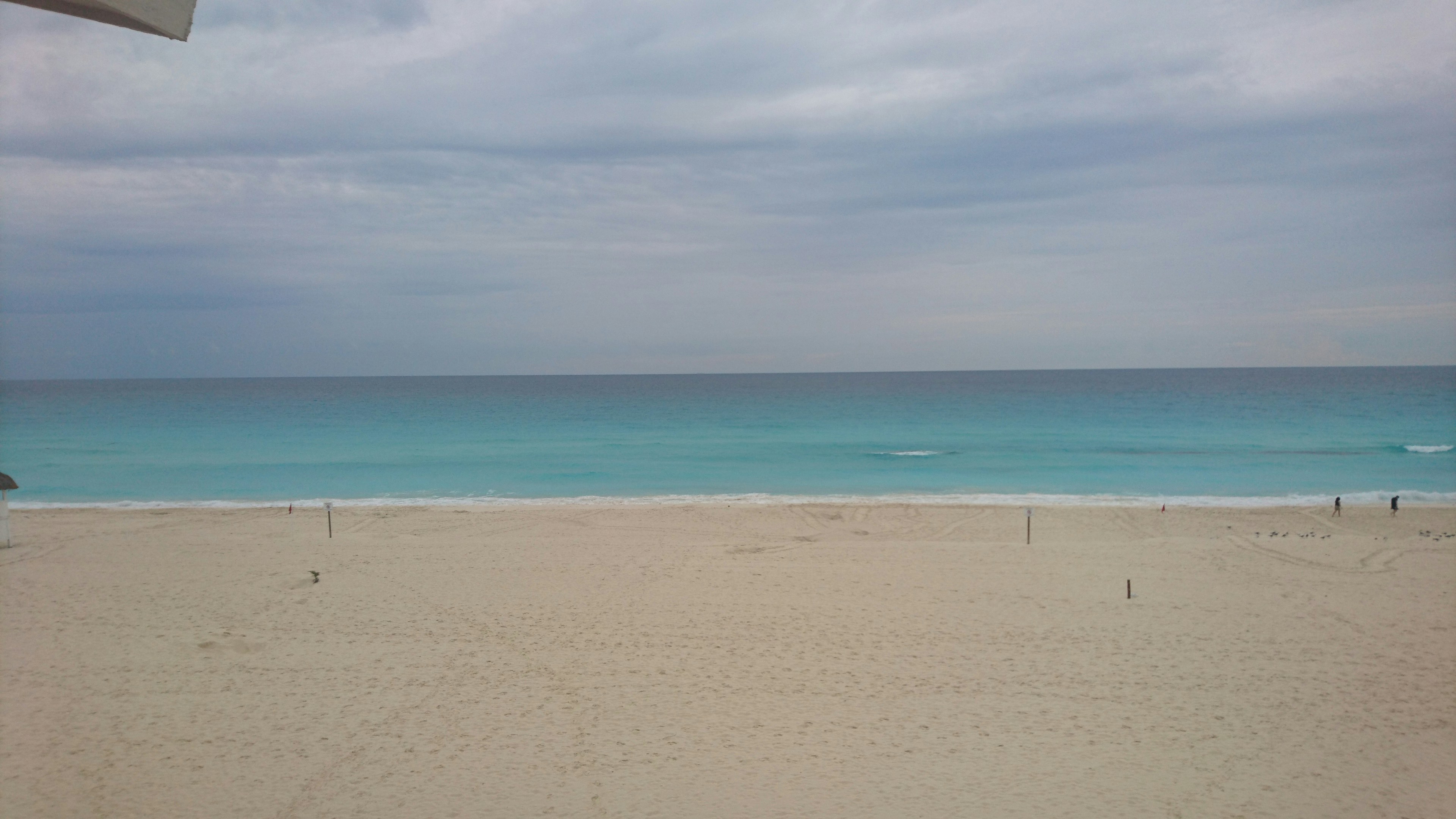 Free Unsplash photo from Román Rodríguez