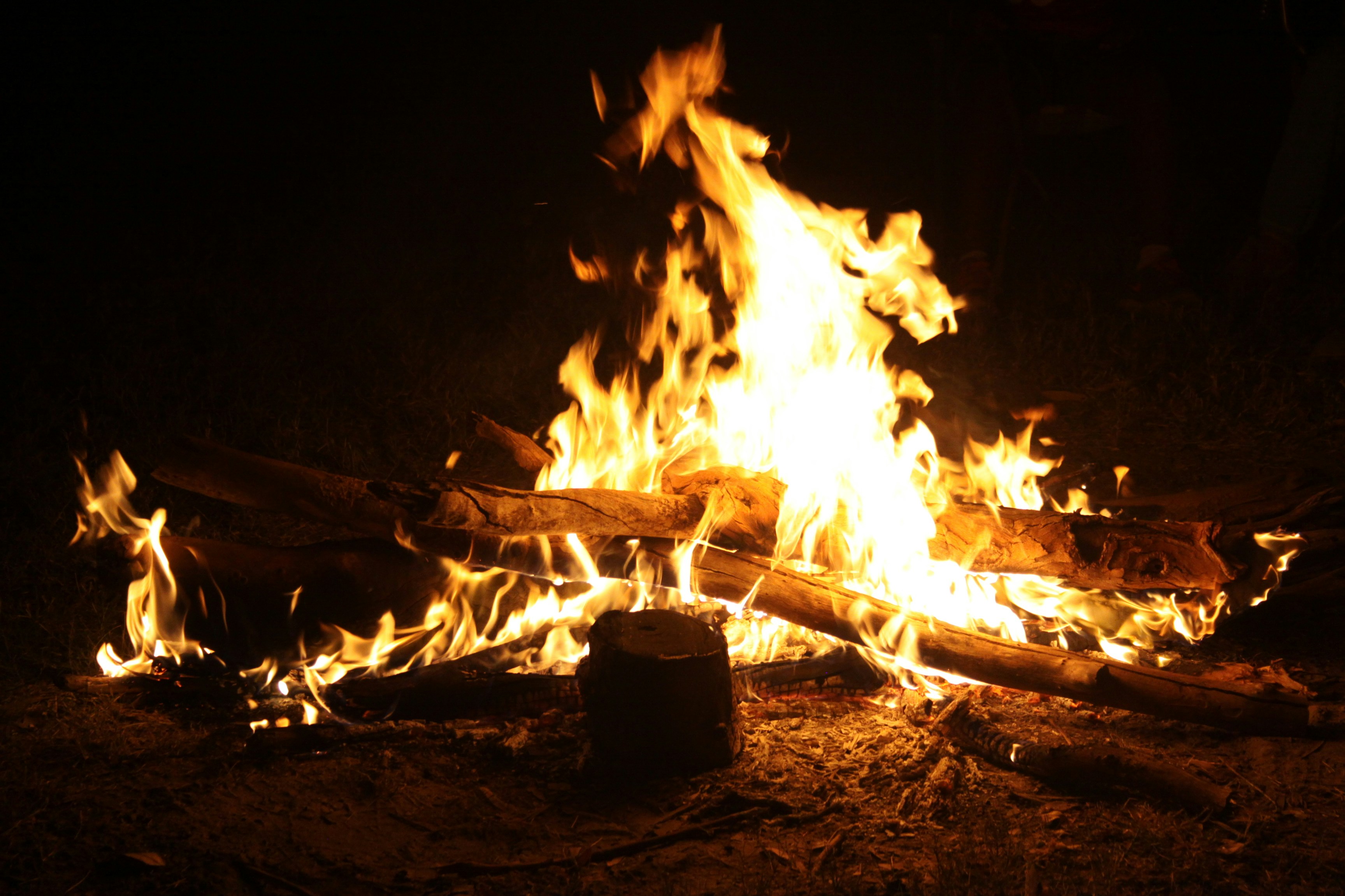 Free Unsplash photo from Kerubo Ogendi