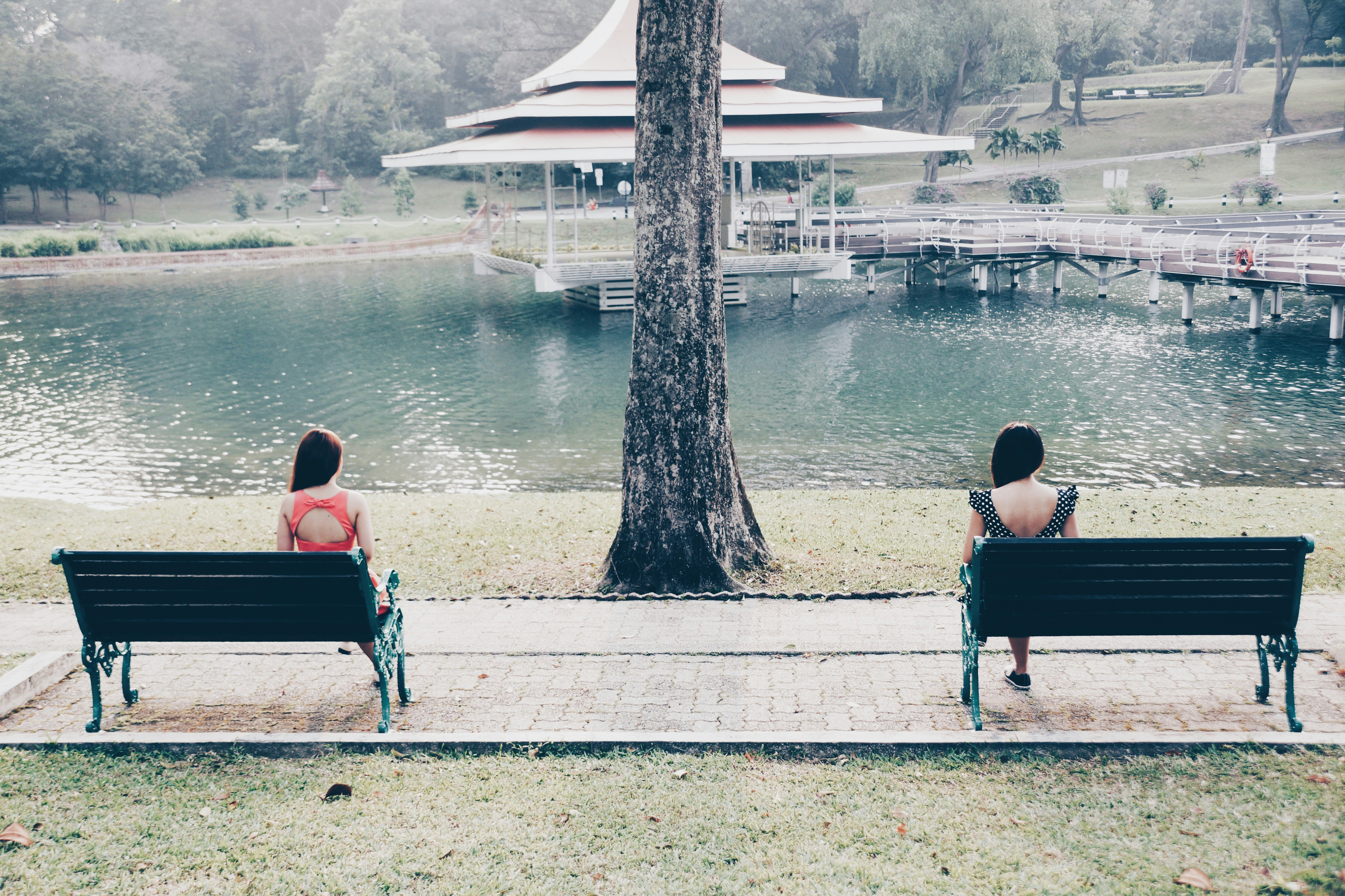 Free Unsplash photo from Aki Tolentino