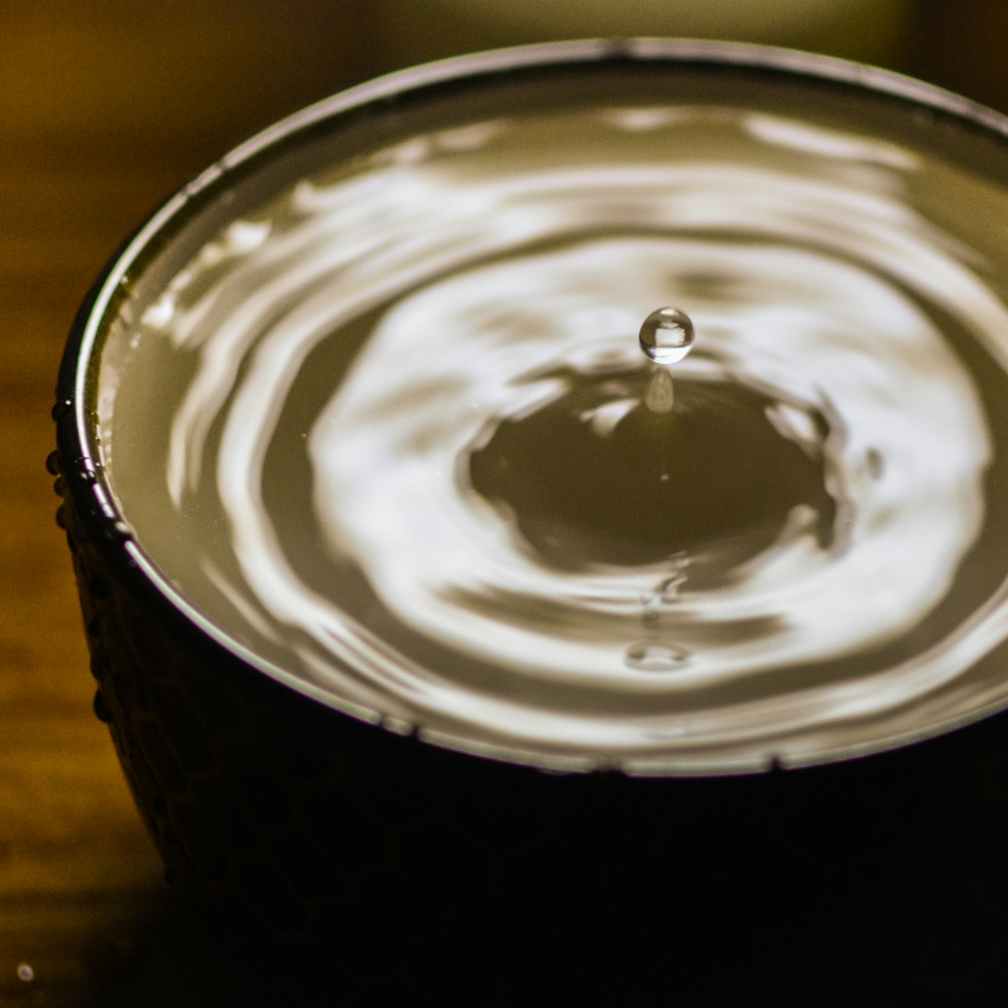 Free Unsplash photo from Digjot Singh