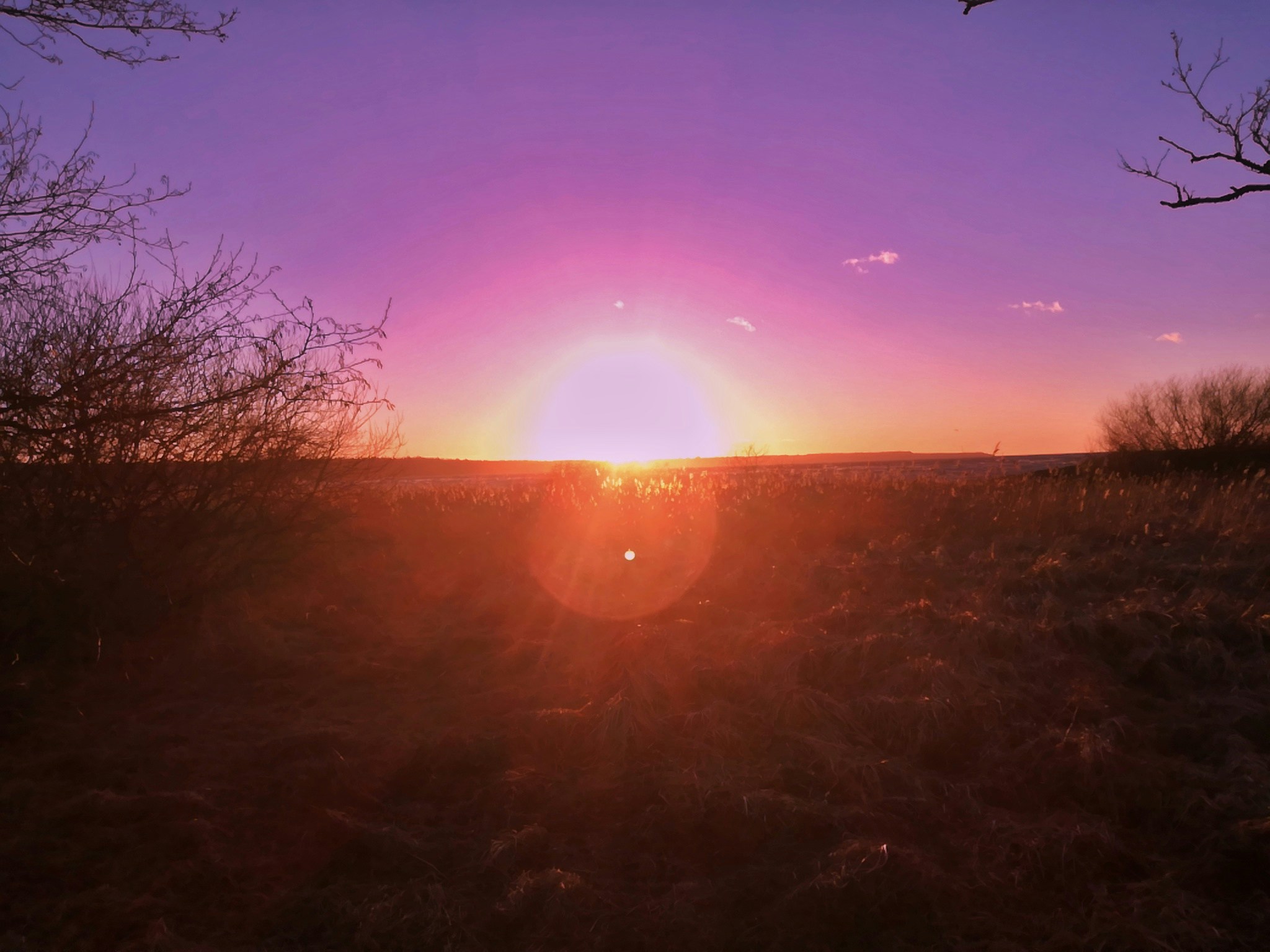 Free Unsplash photo from Carl-Erik Lillak