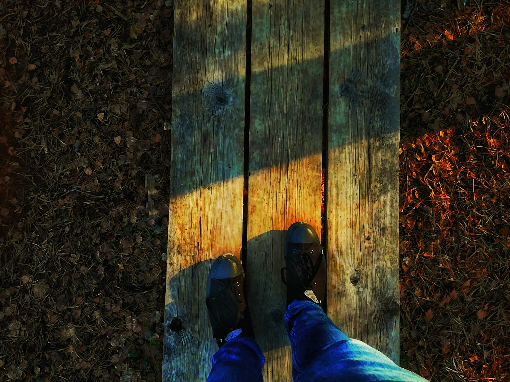 Free Unsplash photo from Carl-Erik Lillak