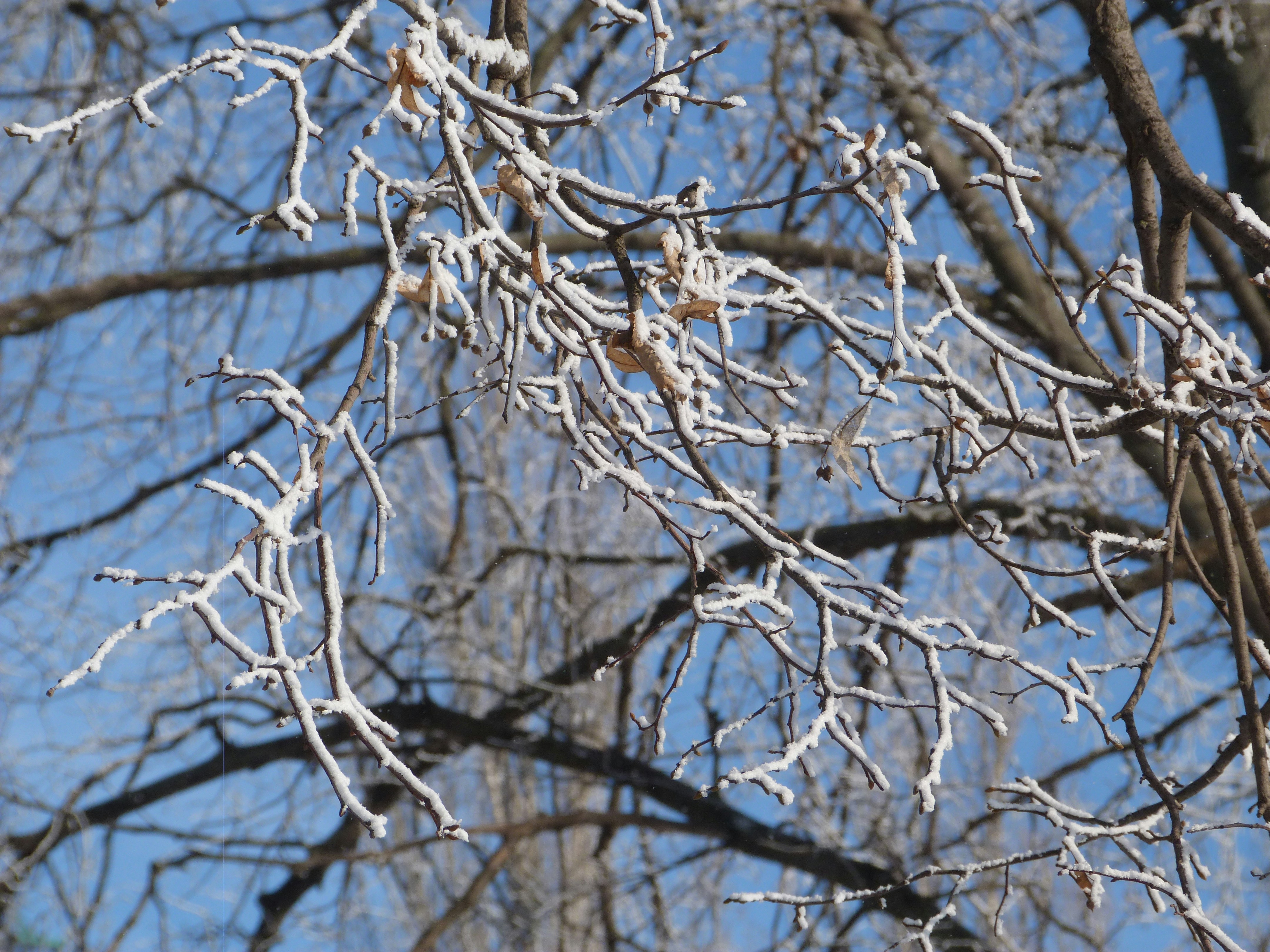 Free Unsplash photo from Olga Kiseleva