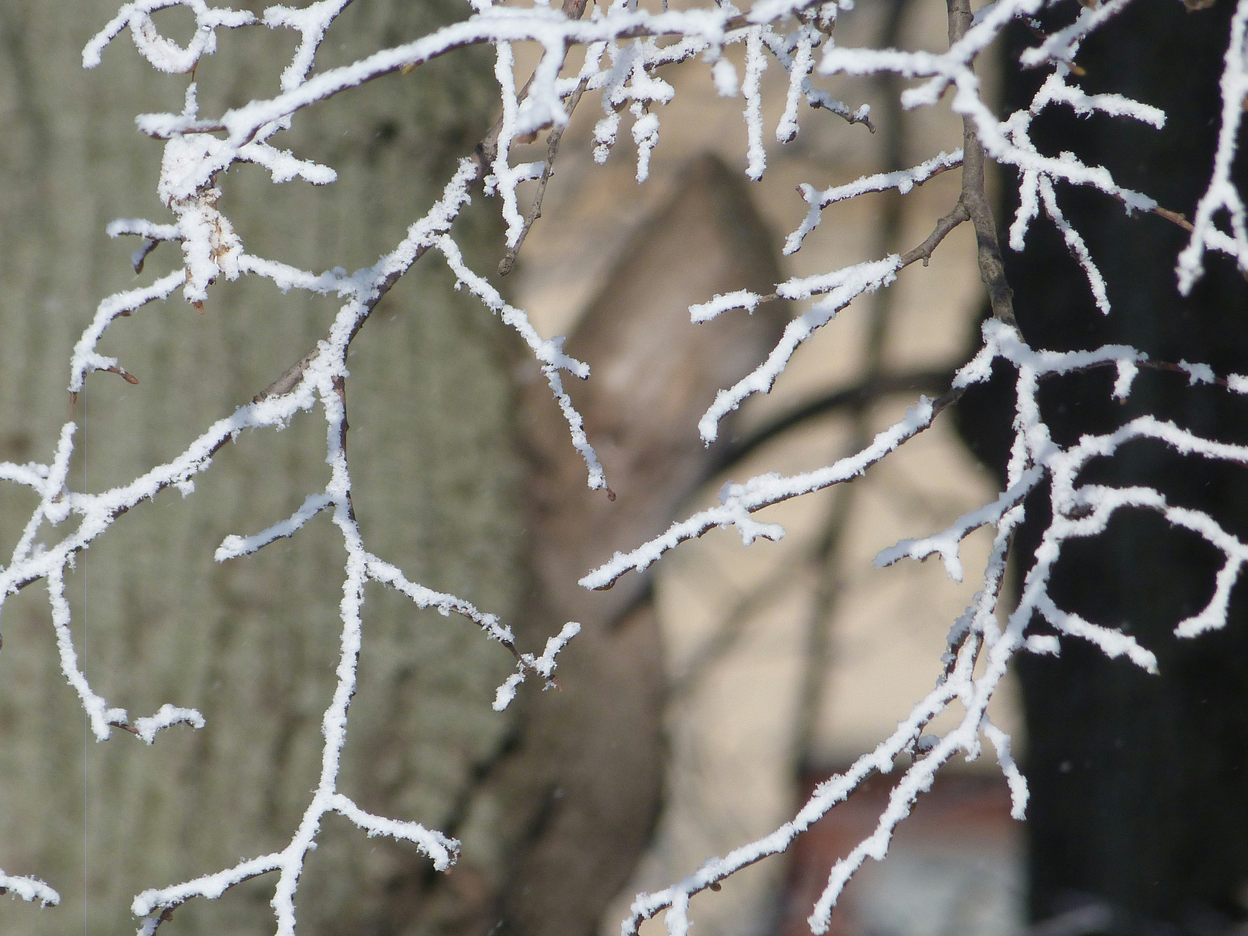 Free Unsplash photo from Olga Kiseleva