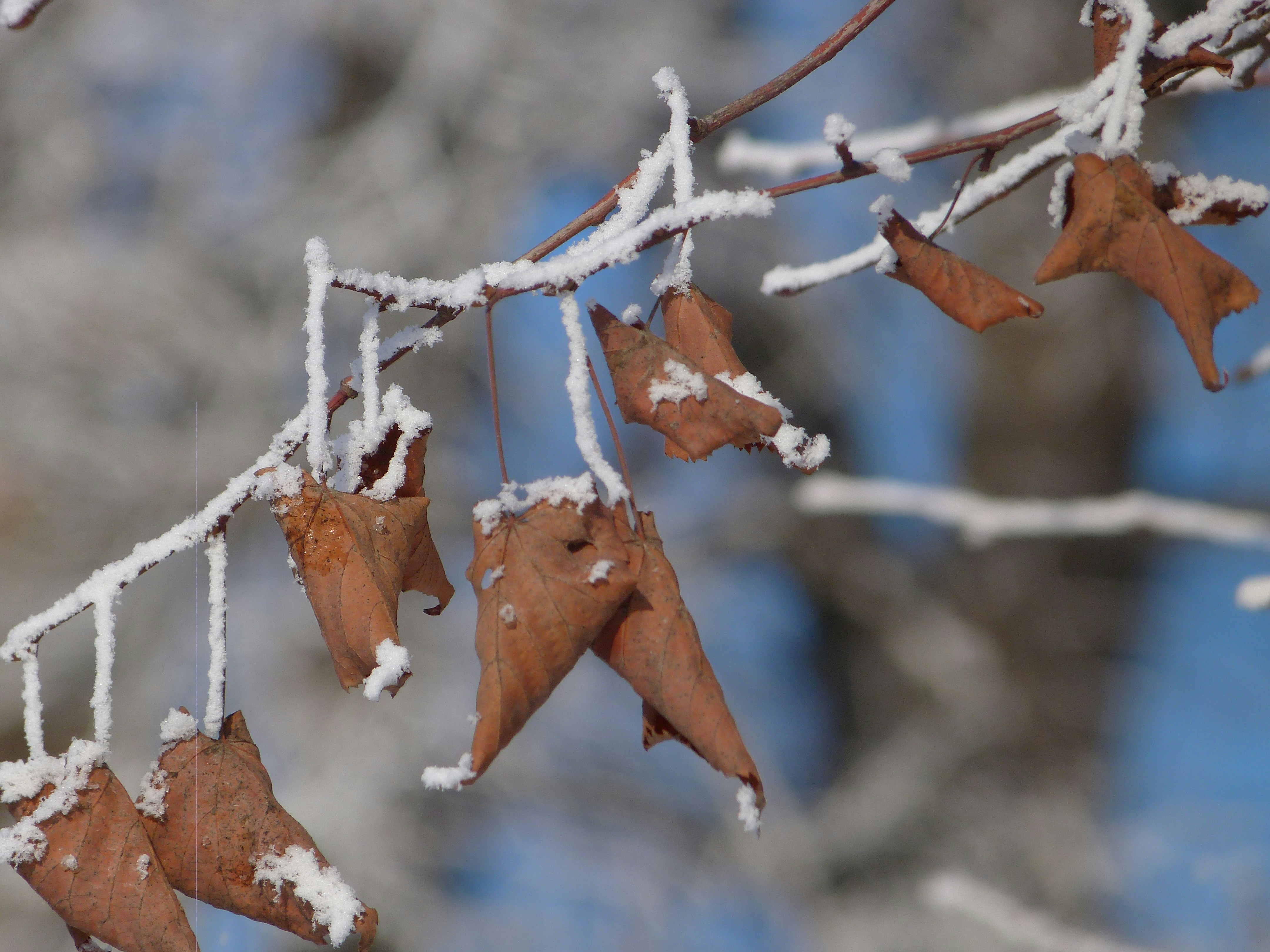 Free Unsplash photo from Olga Kiseleva