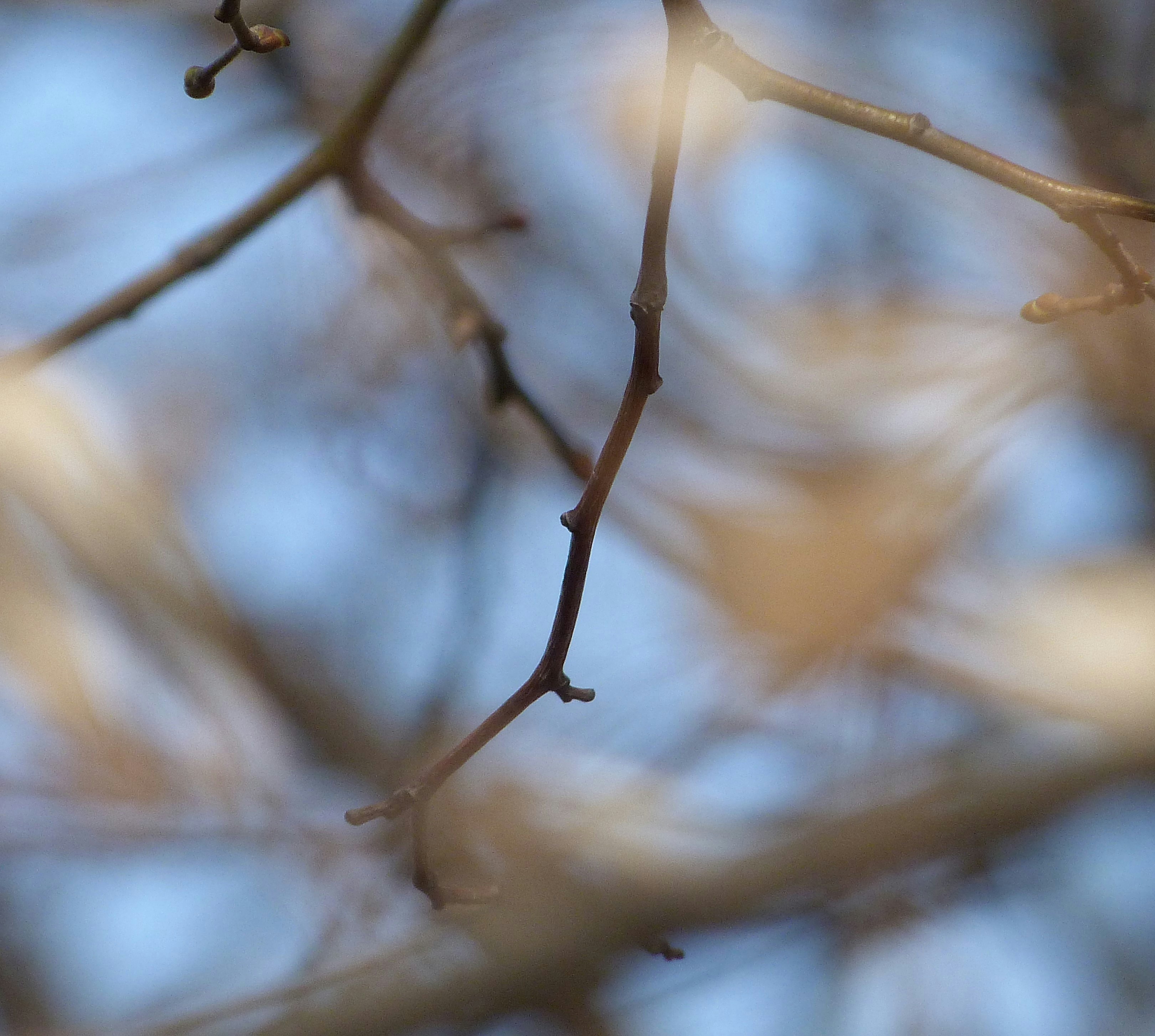 Free Unsplash photo from Olga Kiseleva