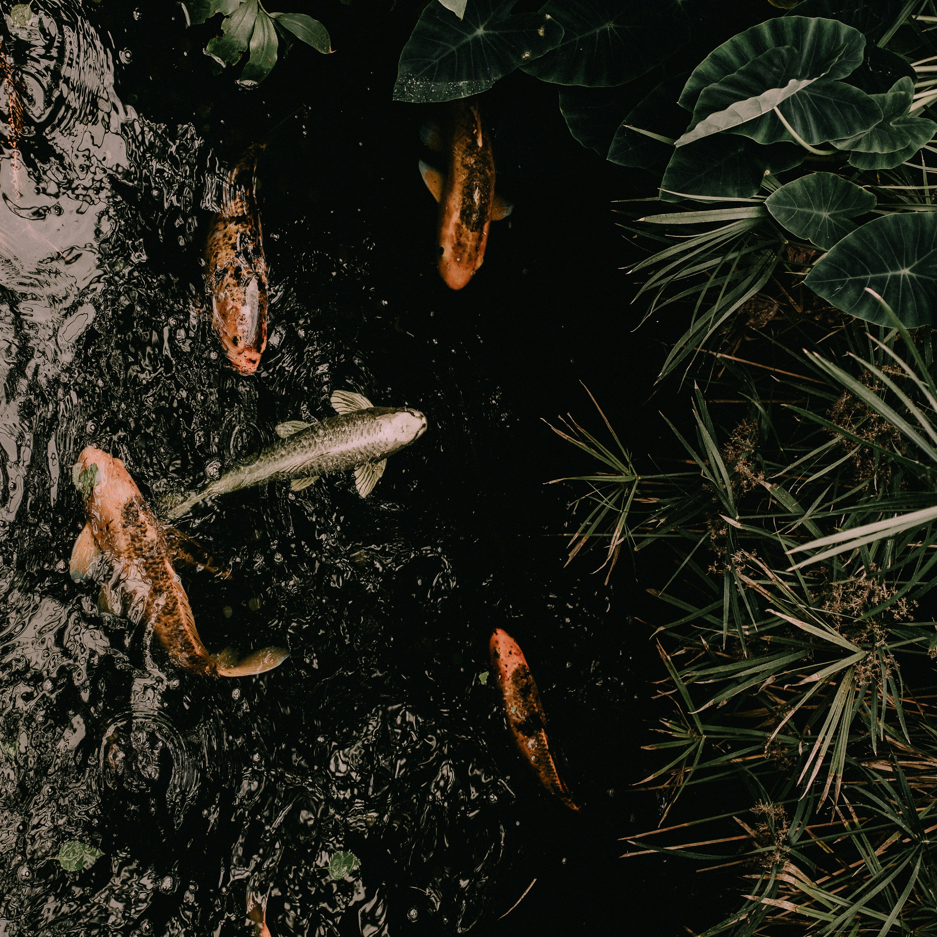 Free Unsplash photo from Richard Boyle