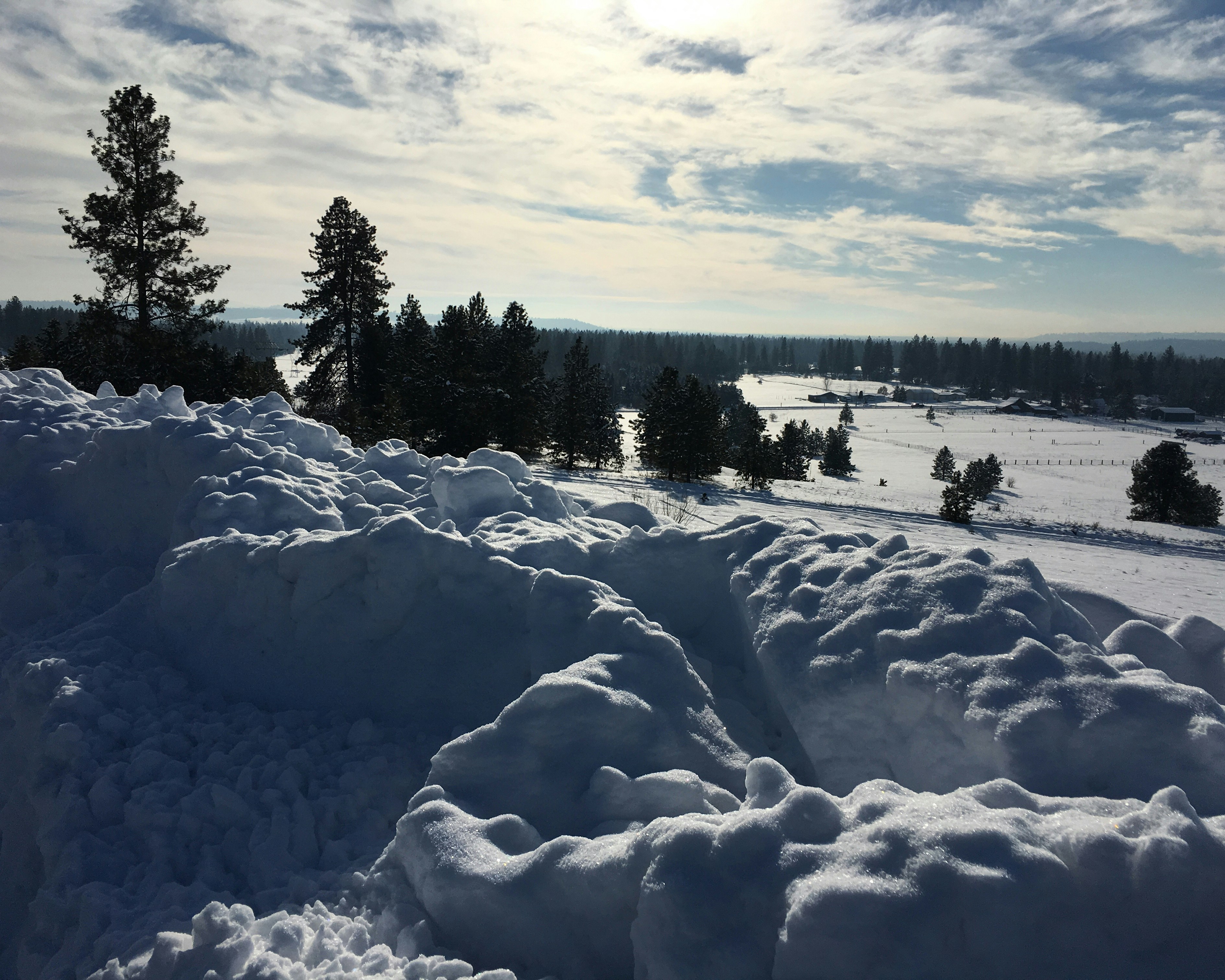 Free Unsplash photo from Sunny Cadwallader