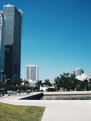 Tall modern skyscrapers rise against a clear blue sky. Palm trees line a pathway beside a water feature, and there are people walking along the promenade. The scene conveys a sense of urban development amidst natural elements.
