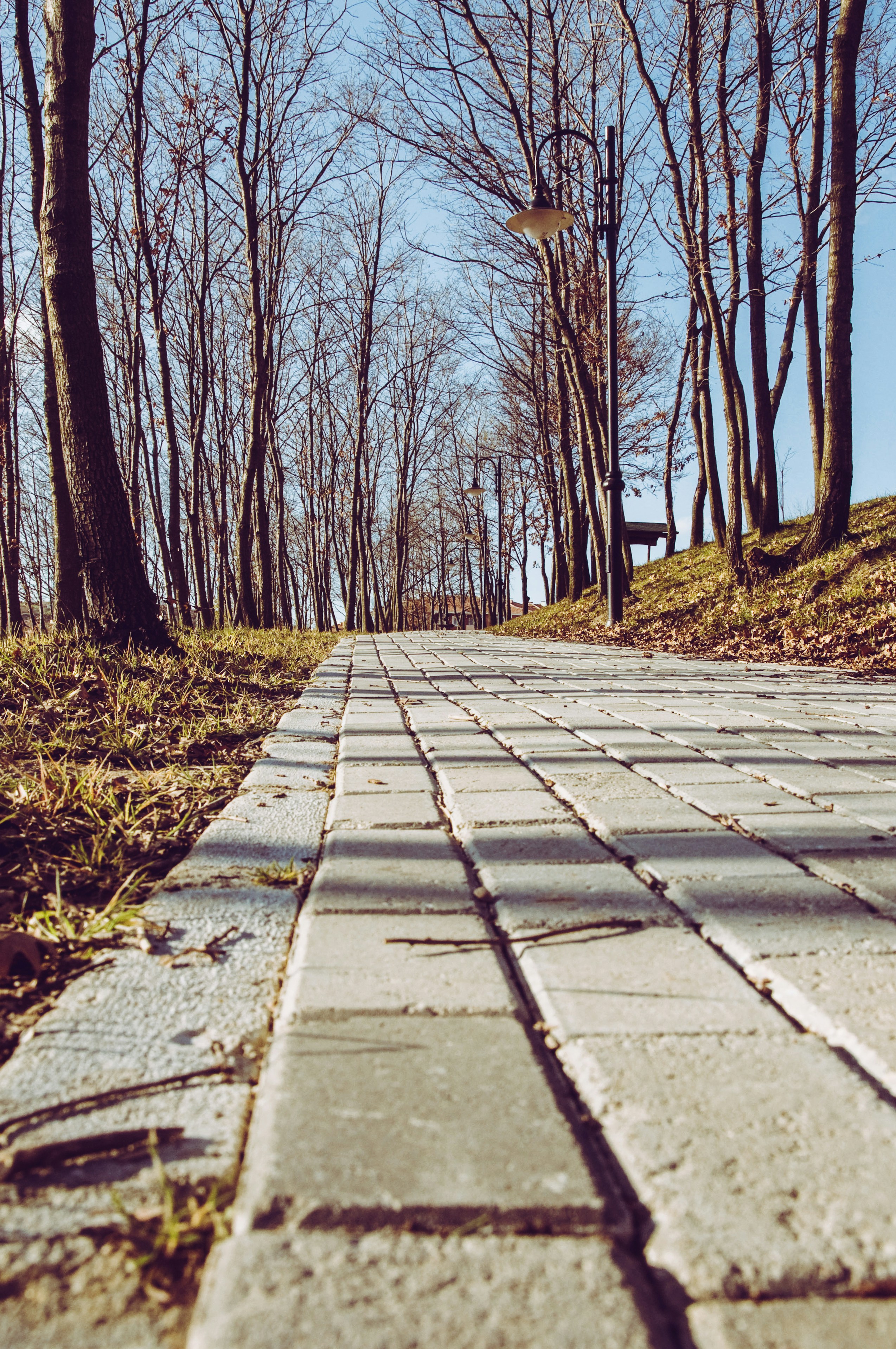 Free Unsplash photo from Gamze HOŞGÖR