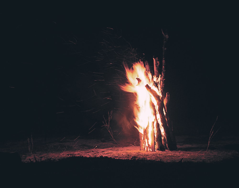 burning firewoods in the middle of deserted land