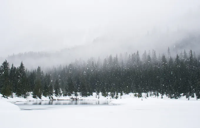 Snow field with green pine trees, similar to the winter landscape around Blue Knob State Park in Greenfield Township, PA